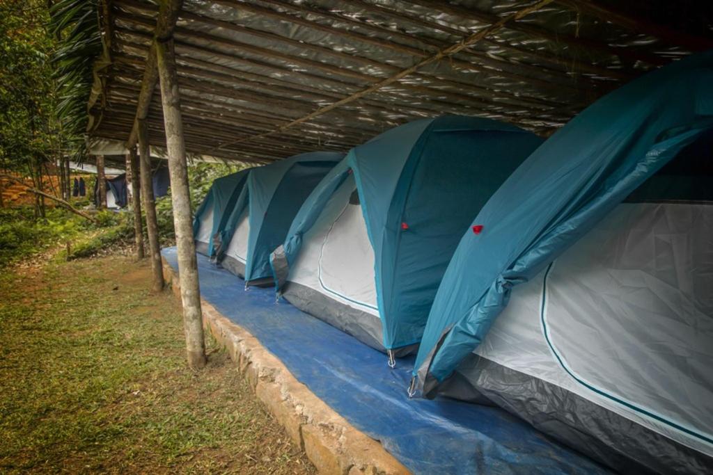 Chalets in Agumbe RainForest view 3