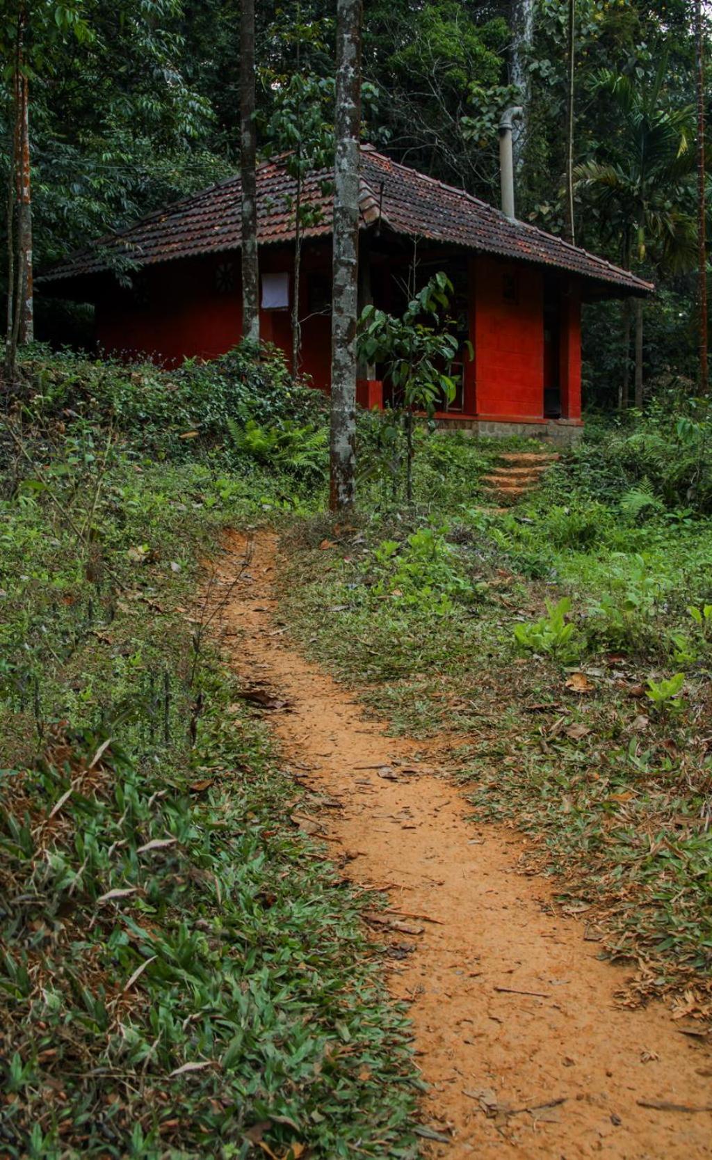 Photo 39