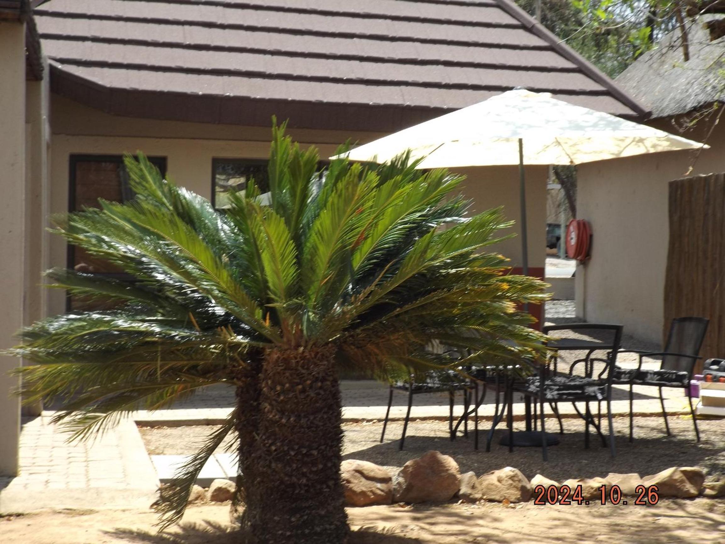 Mabalingwe Nature Reserve - Elephant Lodge - Tjaila