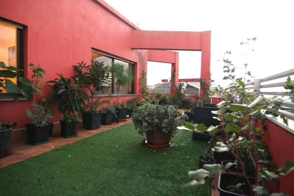 roof