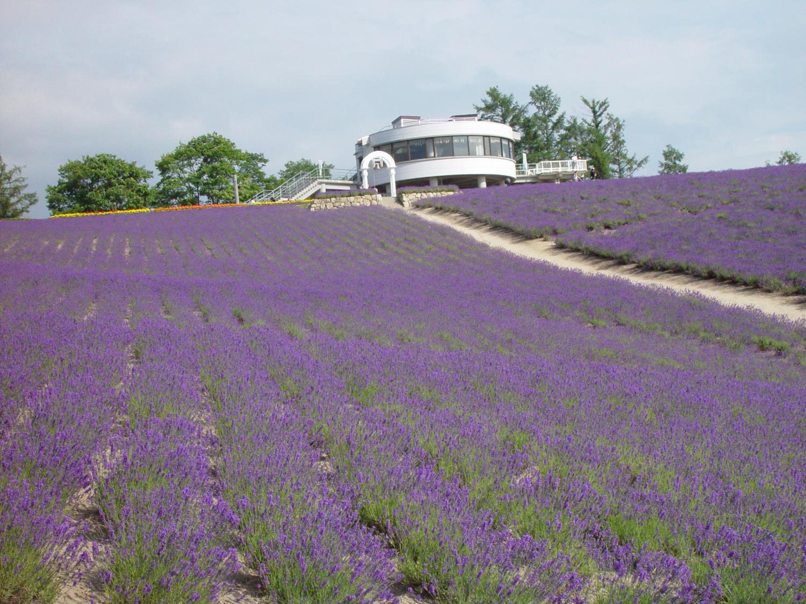 countryside FURANO
