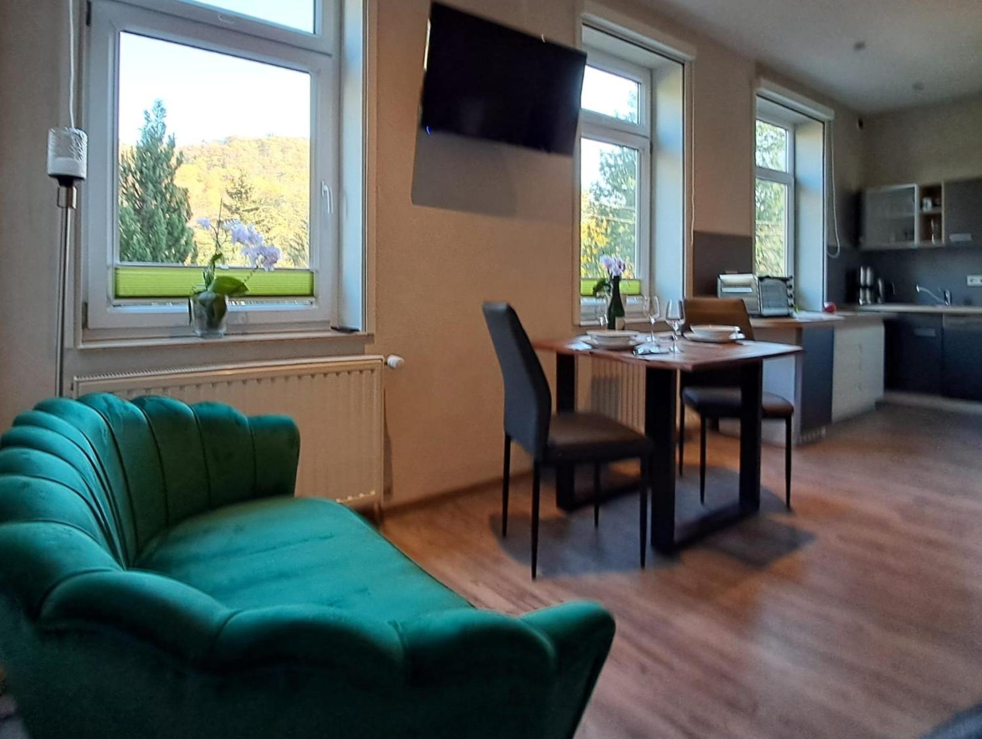 Studio Blick zum Schloss Wernigerode