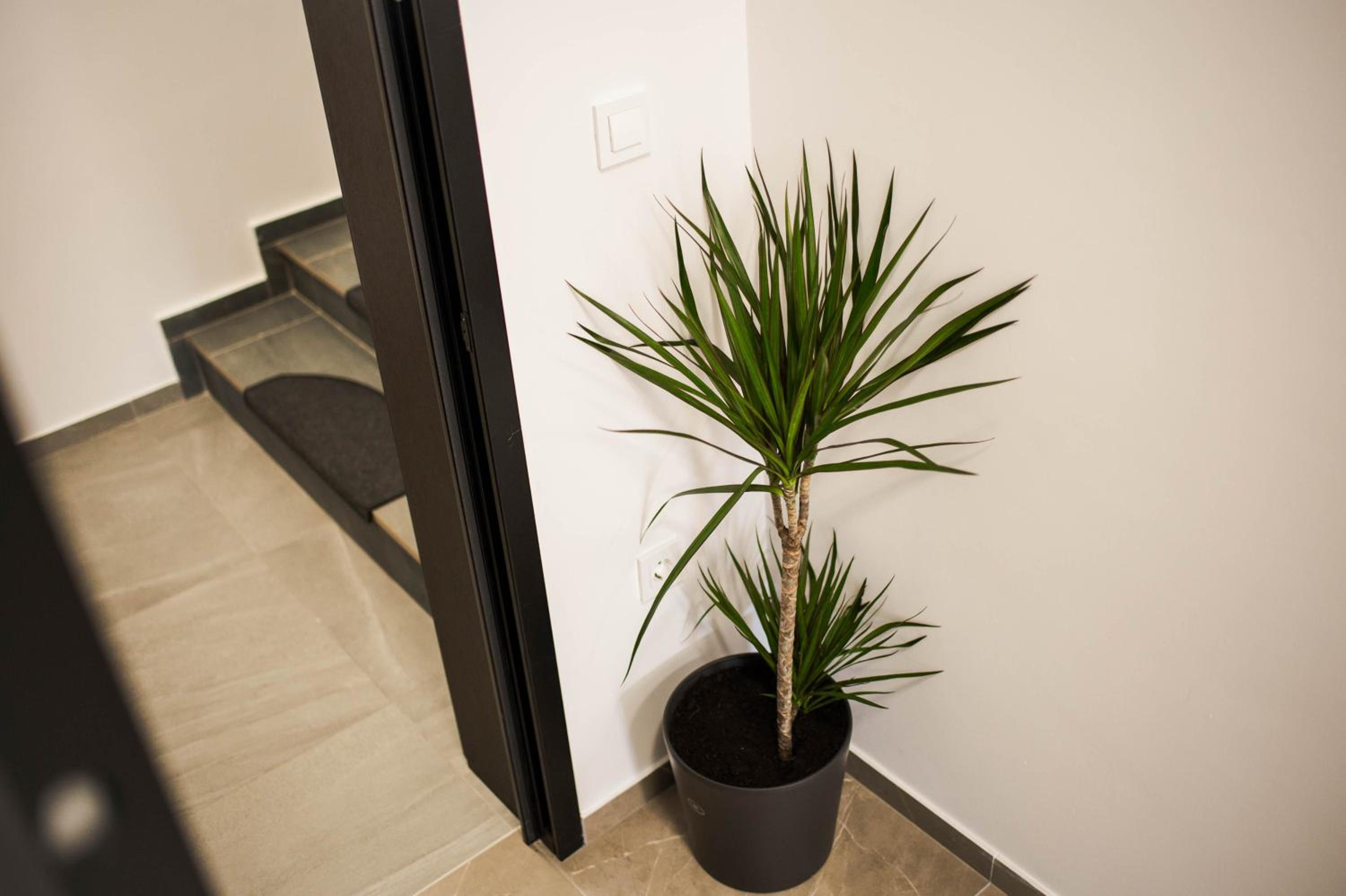 Apartment Claudia