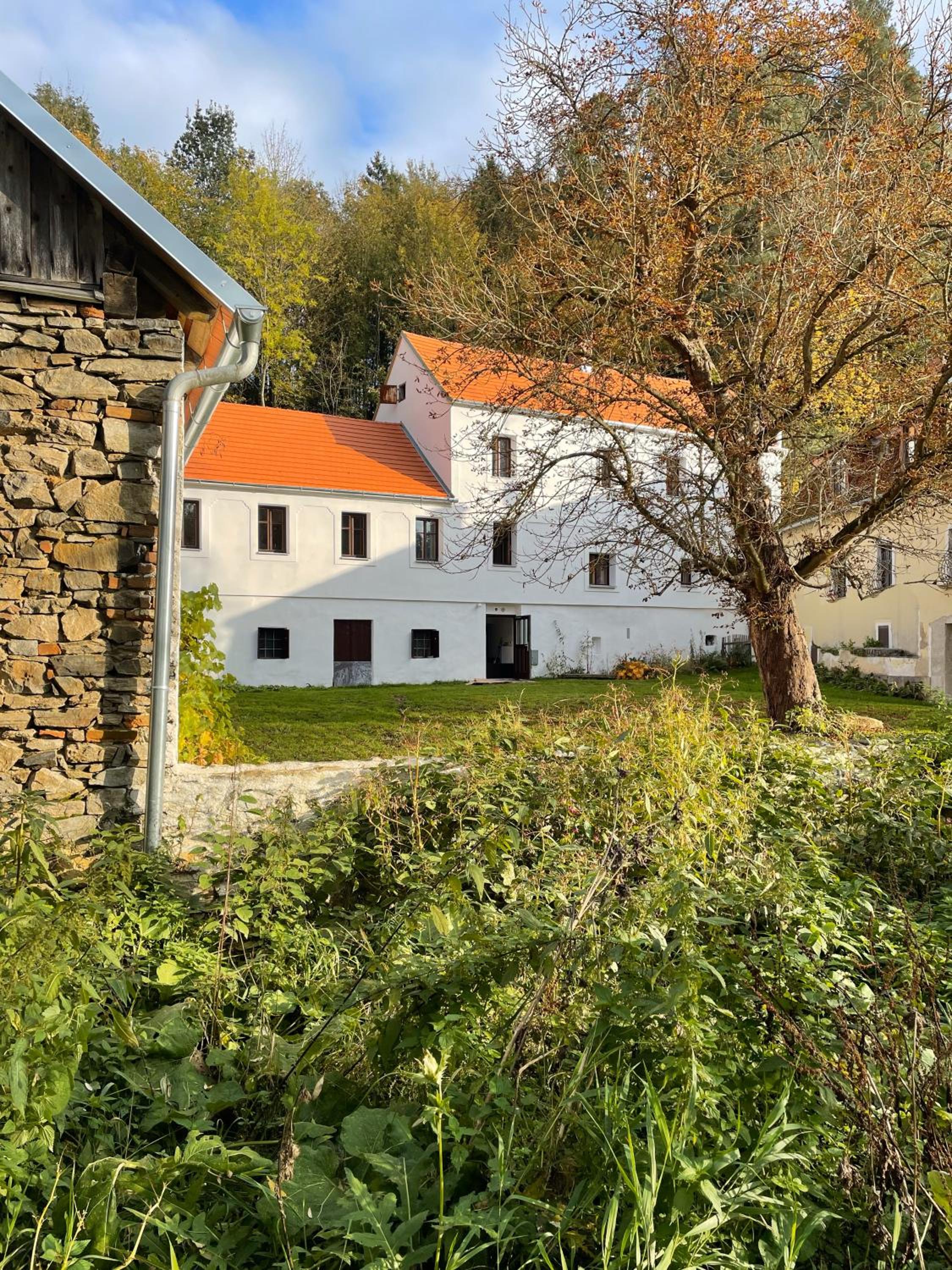Neu renovierte Mühle, Einzellage im Waldviertel