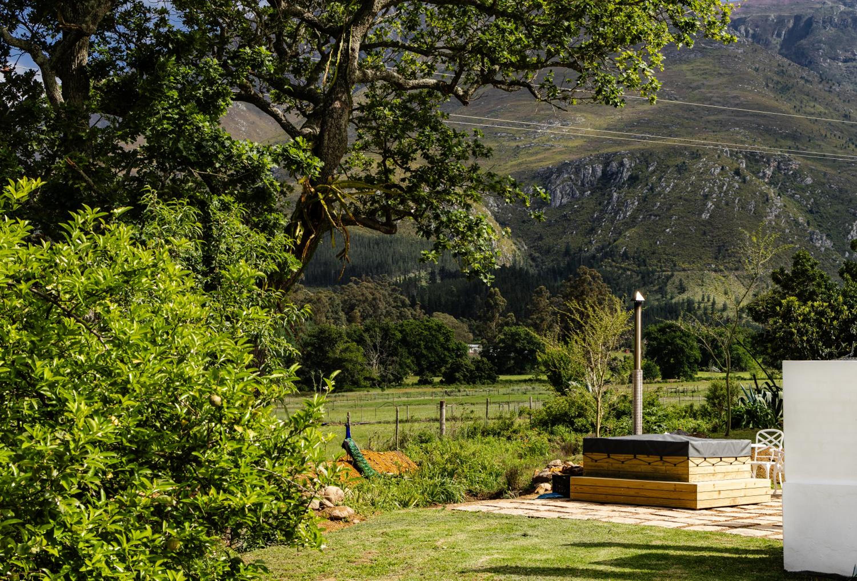 The Hamlet