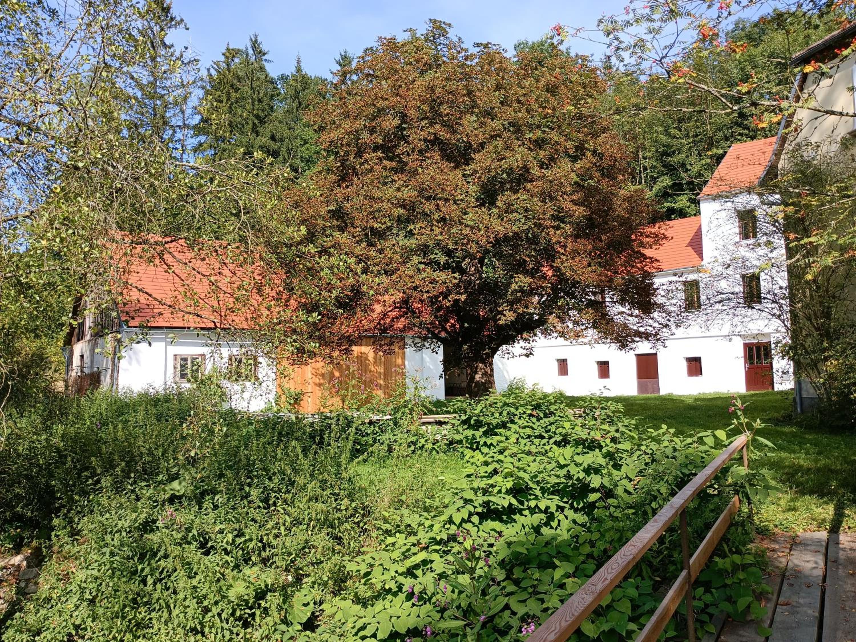 Neu renovierte Mühle, Einzellage im Waldviertel