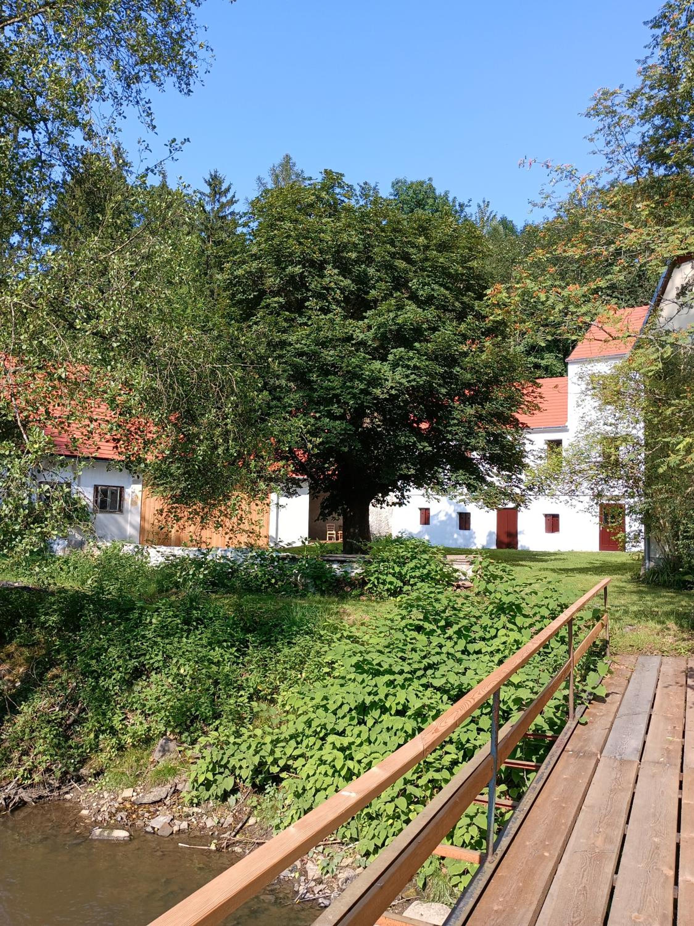 Neu renovierte Mühle, Einzellage im Waldviertel