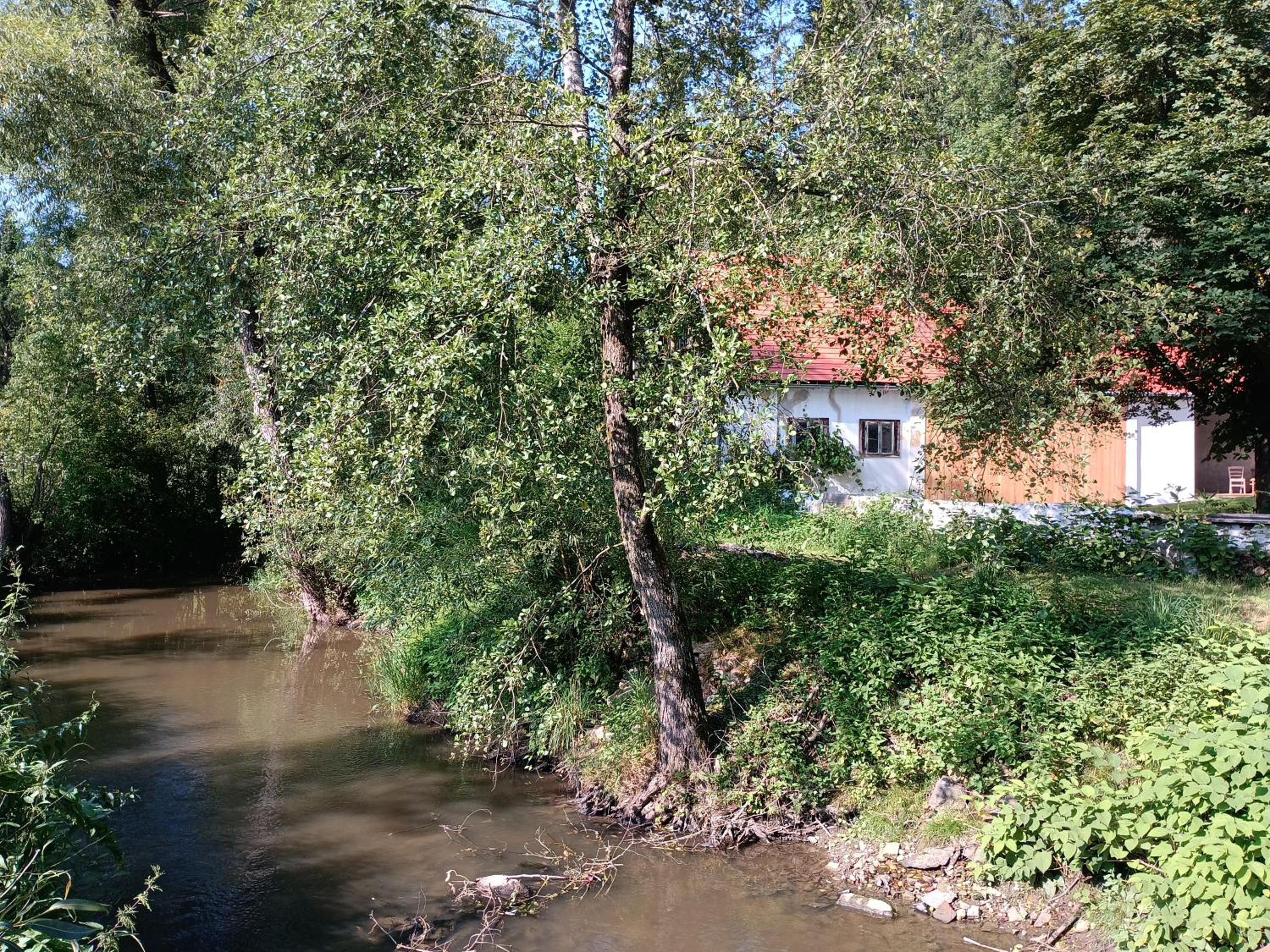 Neu renovierte Mühle, Einzellage im Waldviertel