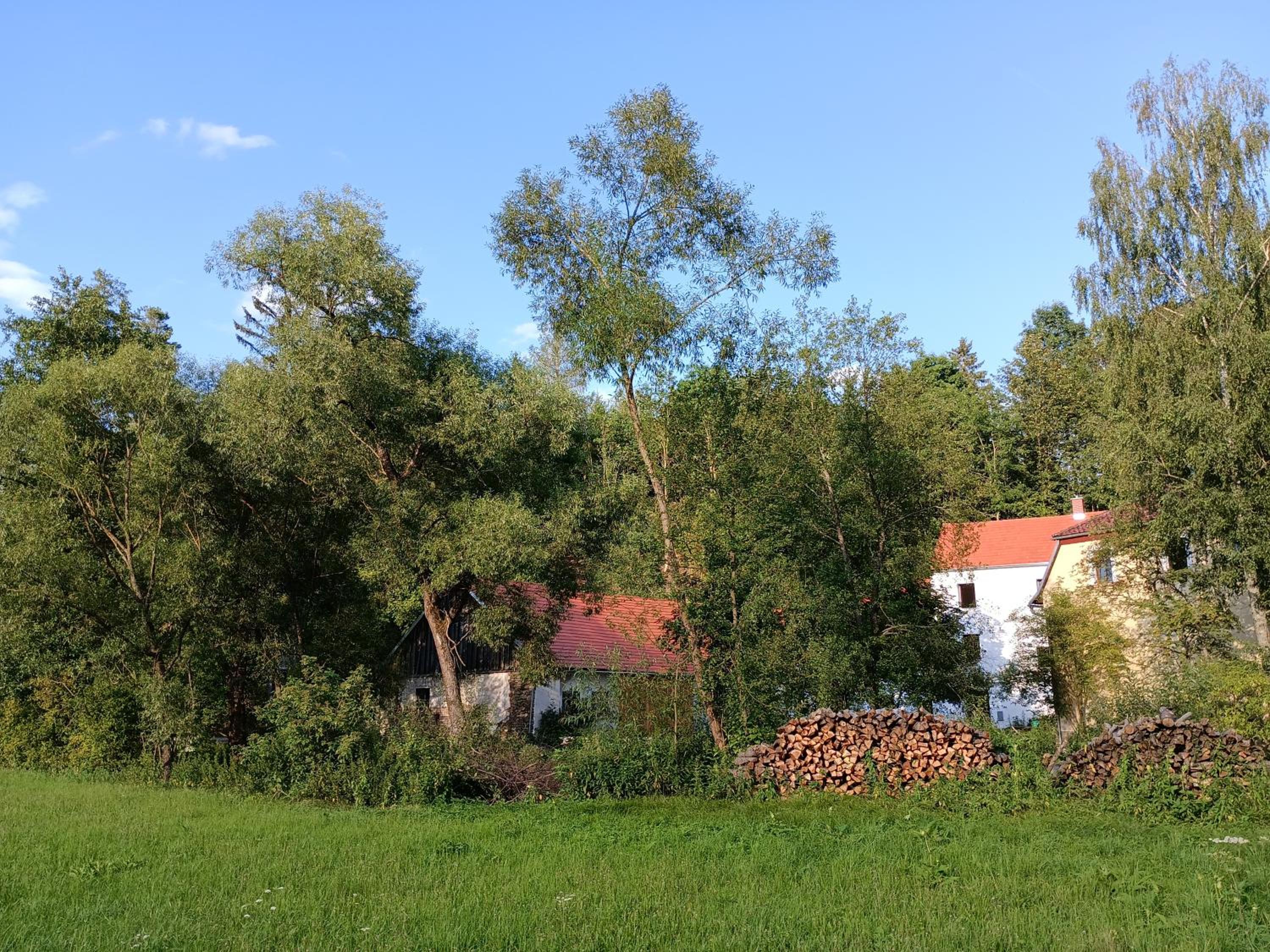 Neu renovierte Mühle, Einzellage im Waldviertel