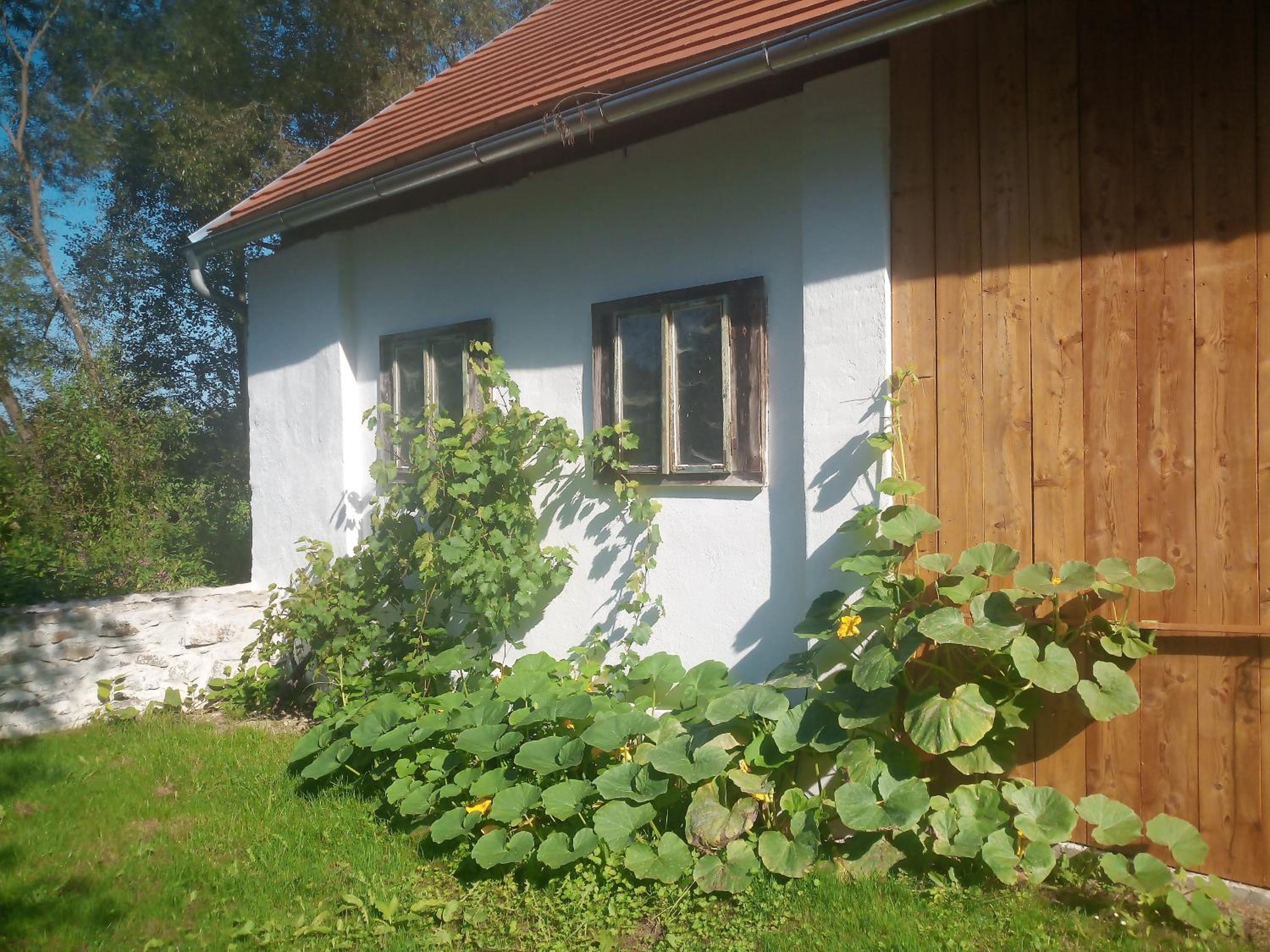 Neu renovierte Mühle, Einzellage im Waldviertel