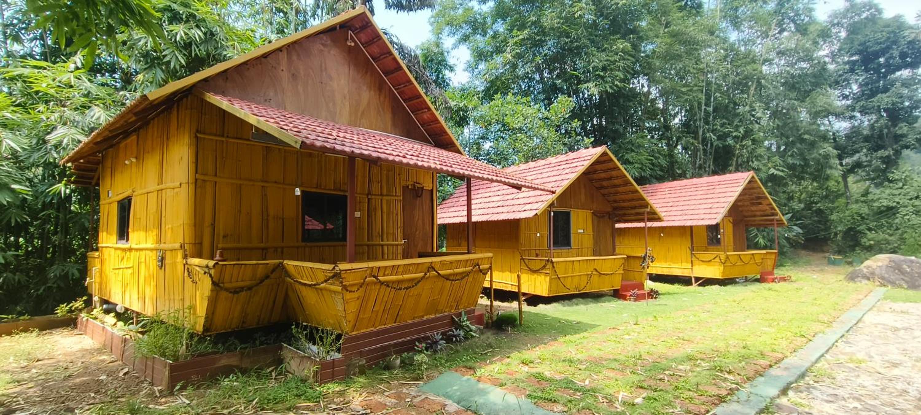 Nature Coorg camping, Jeep safari view 3