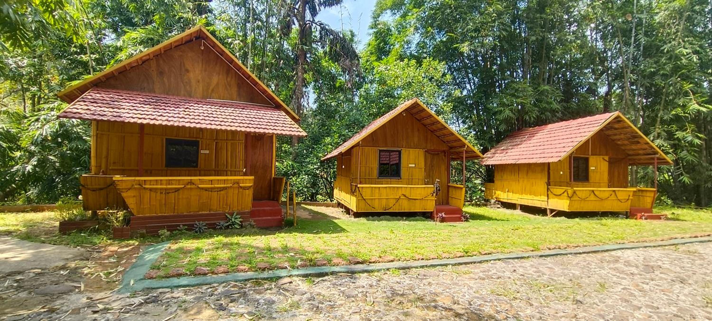 Nature Coorg camping, Jeep safari view 5