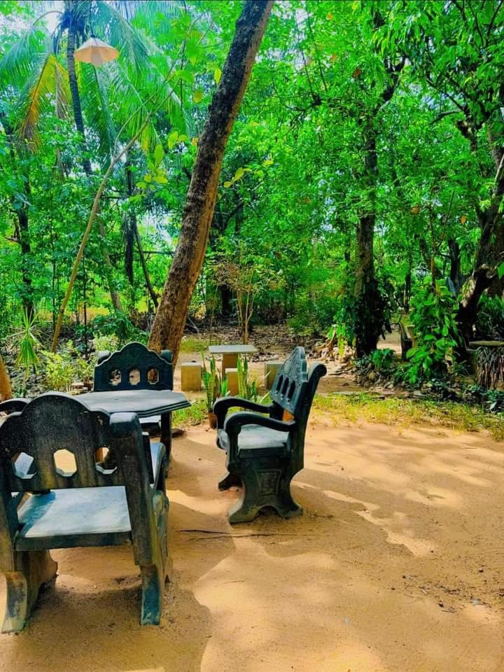 Lay By River Dambulla view 2