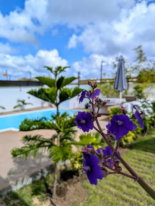 Tropic Treasure Stay