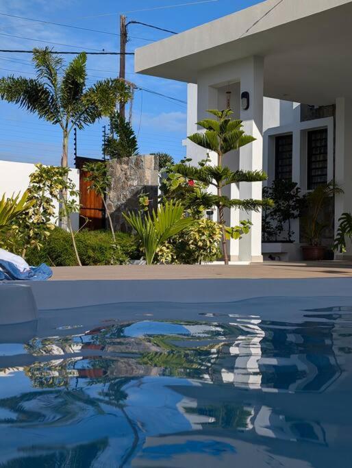 Tropic Treasure Stay