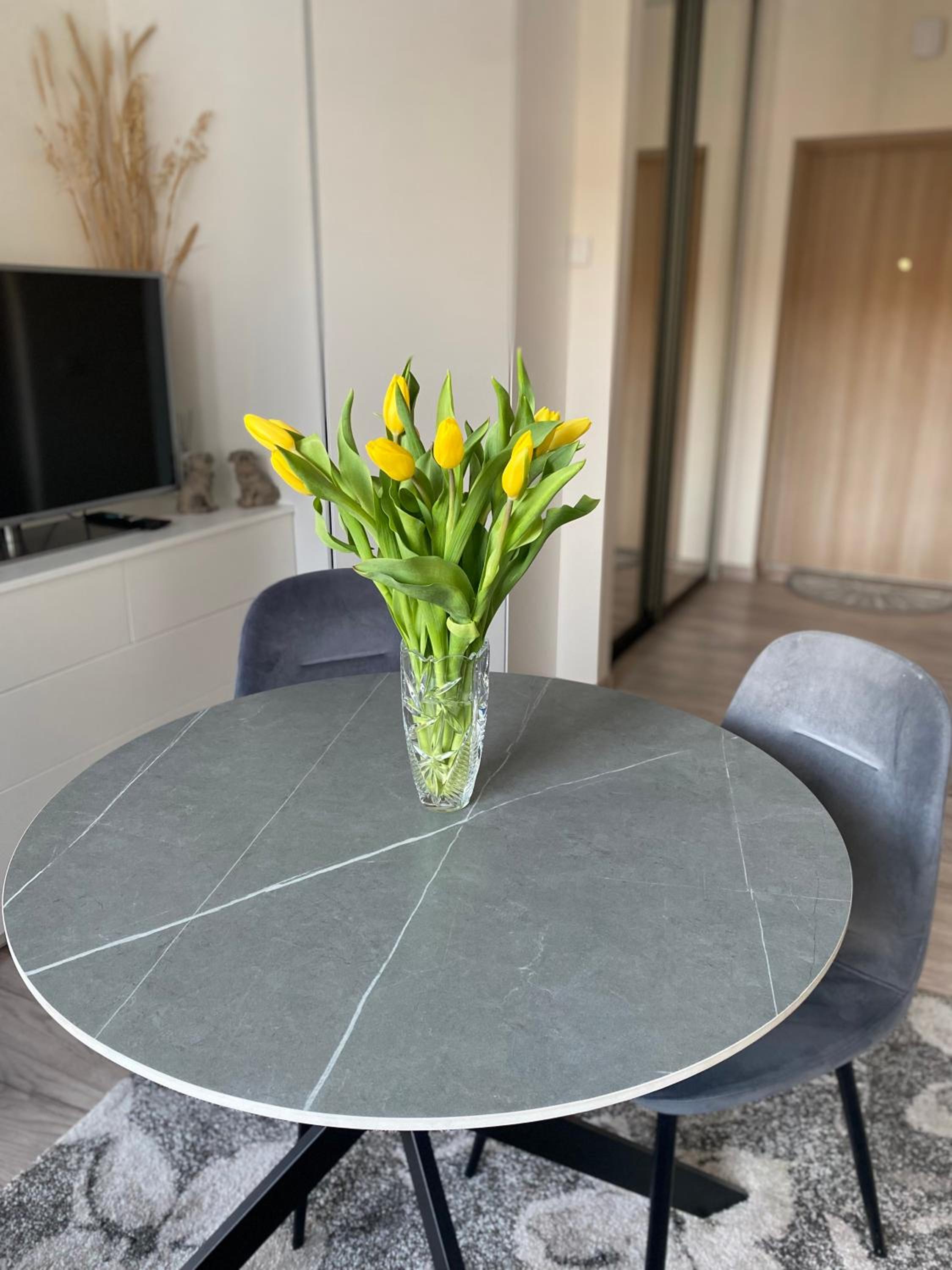 Kaunas City Center Apartment view 5