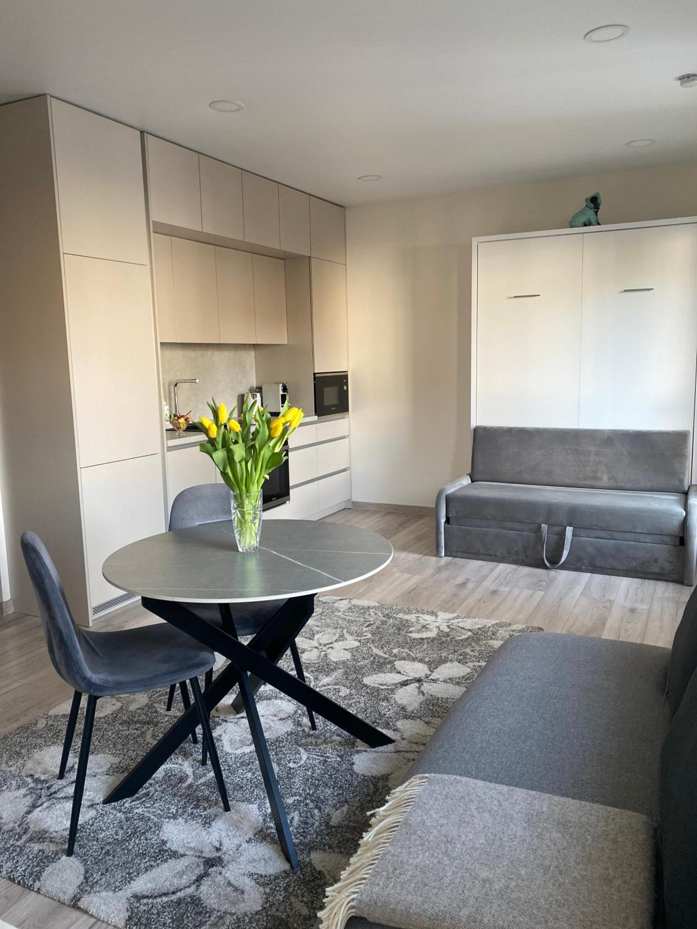 Kaunas City Center Apartment view 3