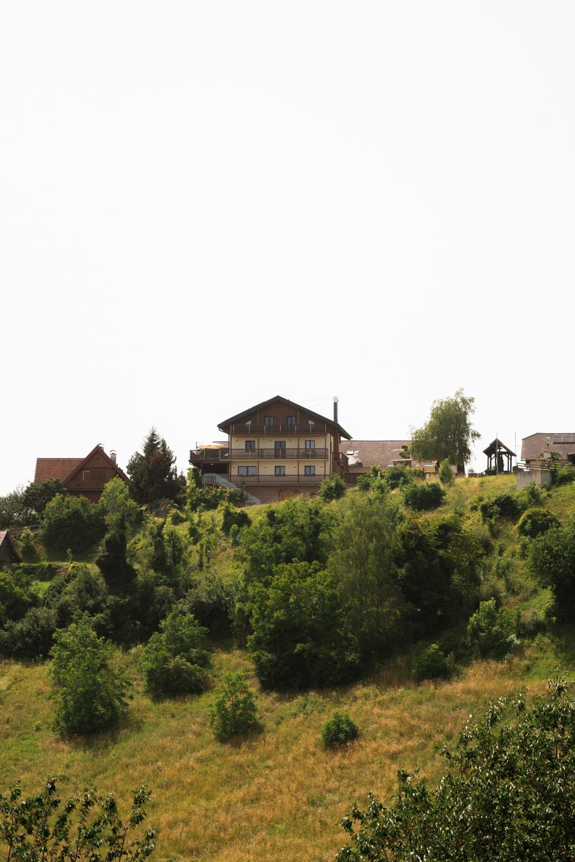 Das Weinkitz