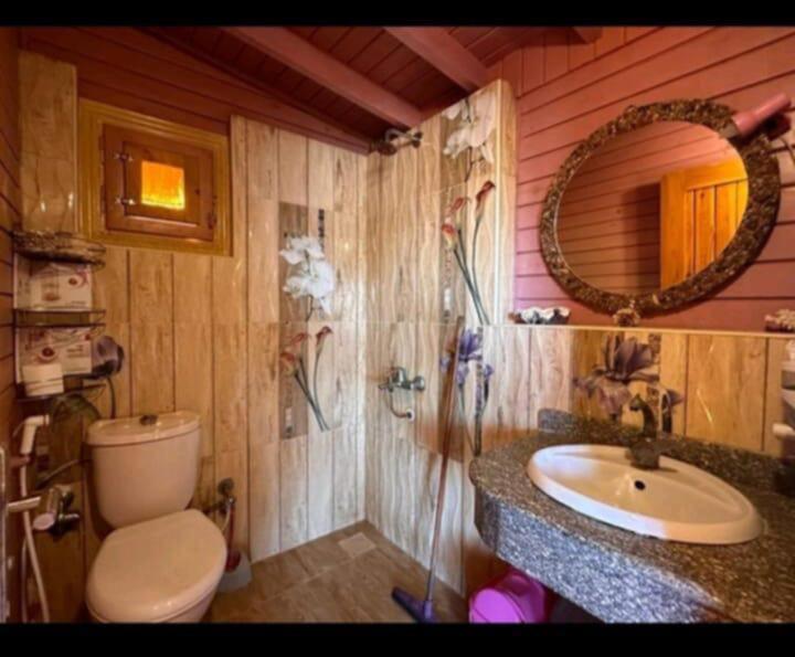 Zeina House