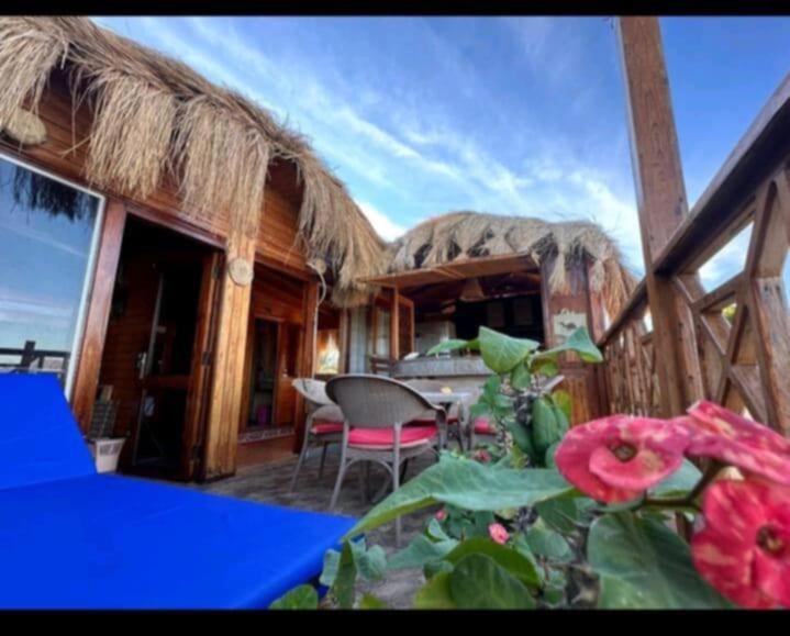 Zeina House