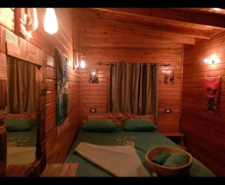 Zeina House