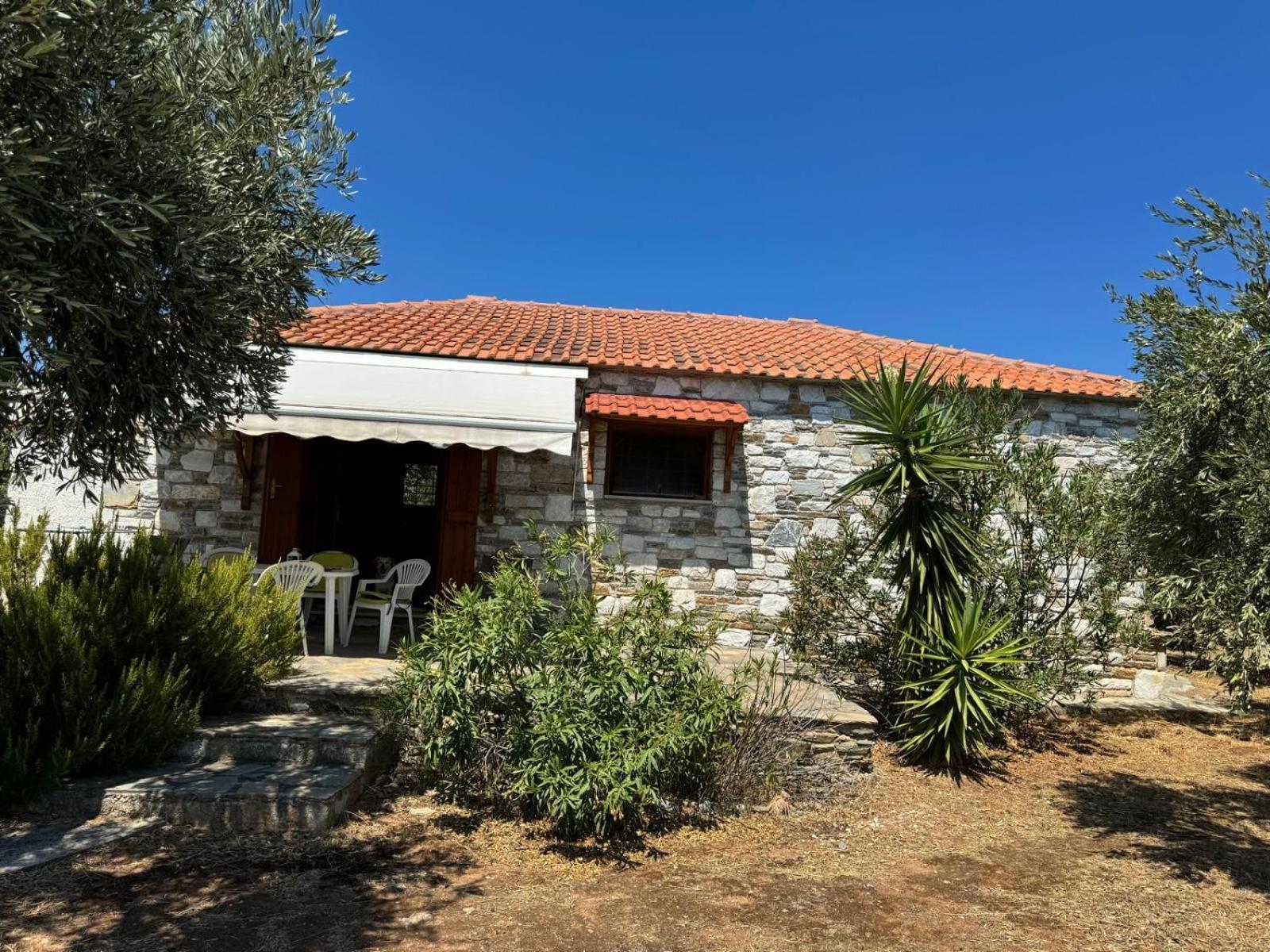 Haus im Olivenhain direkt am Meer view 3
