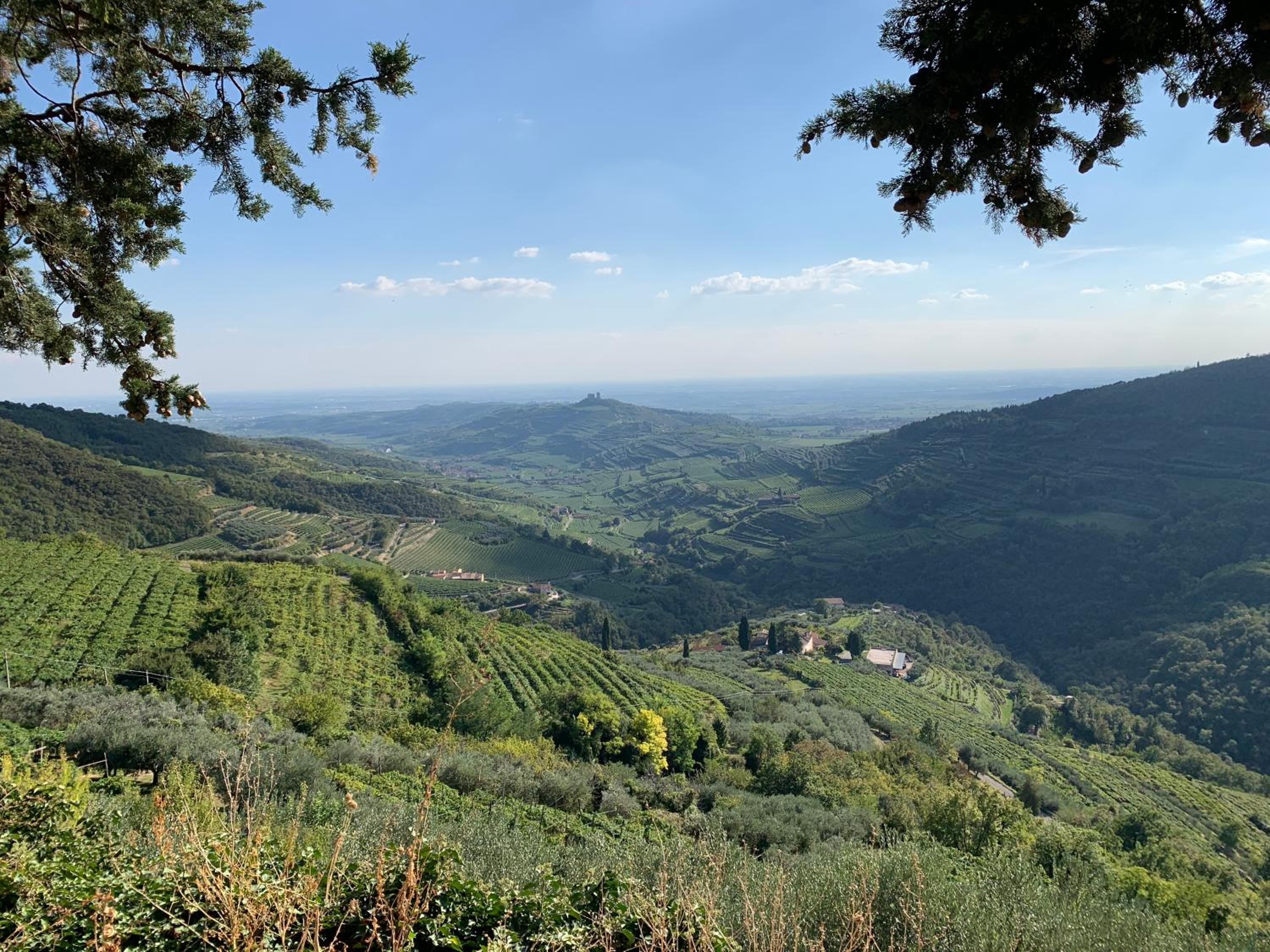 La Volpe e l'Iris by Holiday World view 3