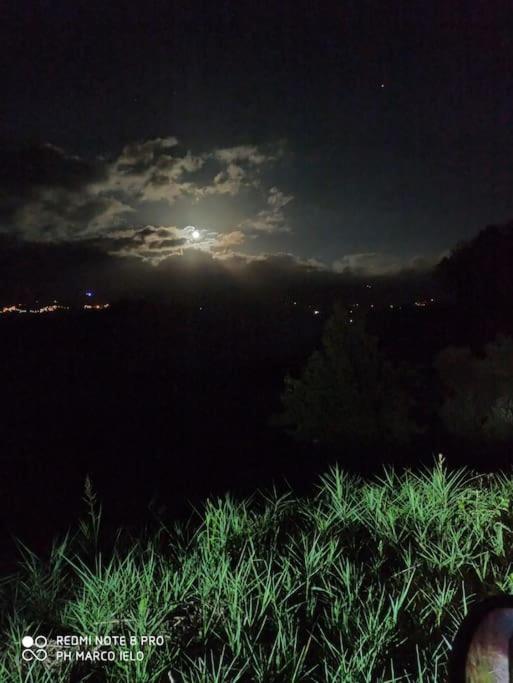 Villa chalet sul lago Angitola view 5