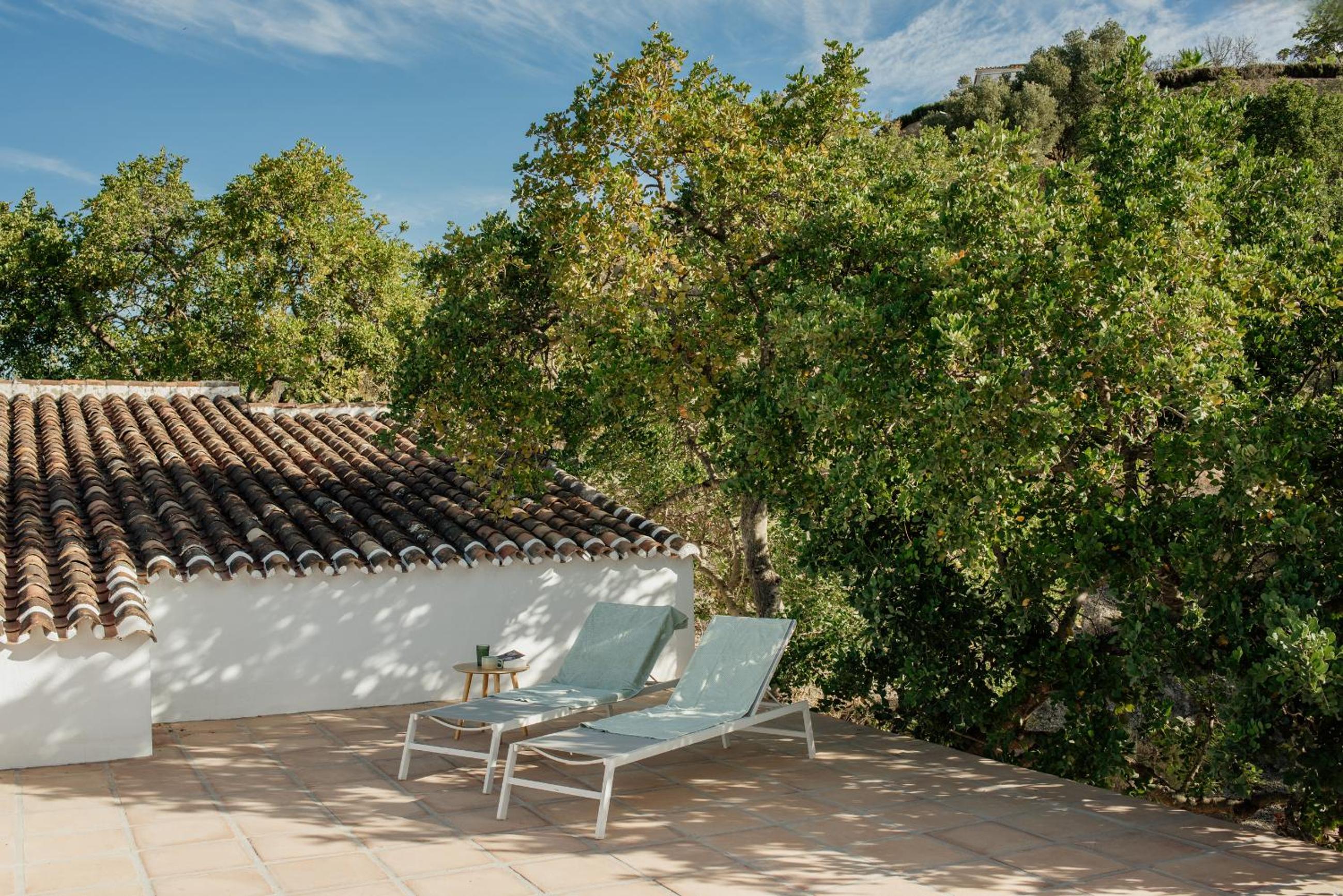 Casa Olivia