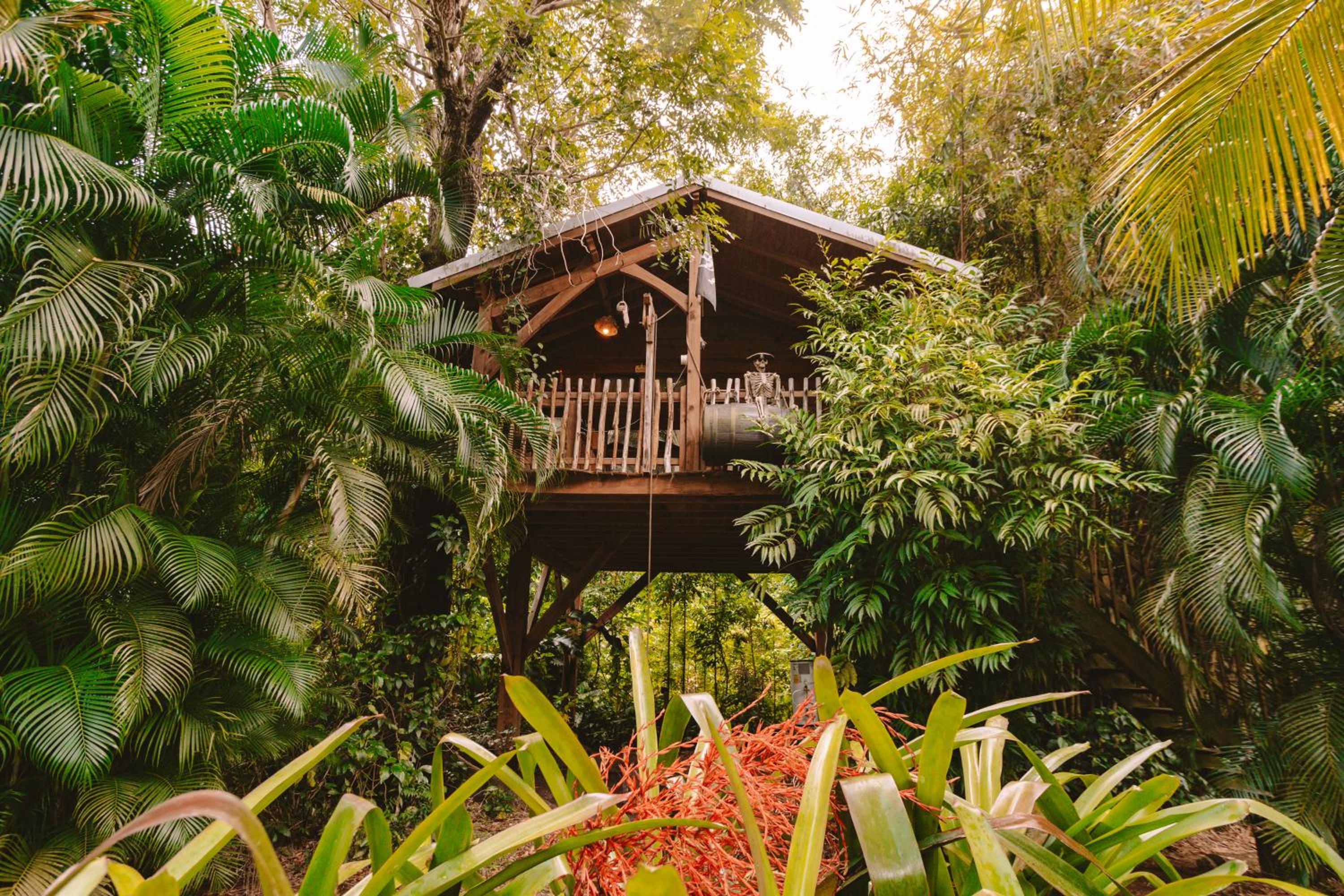 West Indies Cottage, cottages haut de gamme avec piscine, jacuzzi et vue jungle