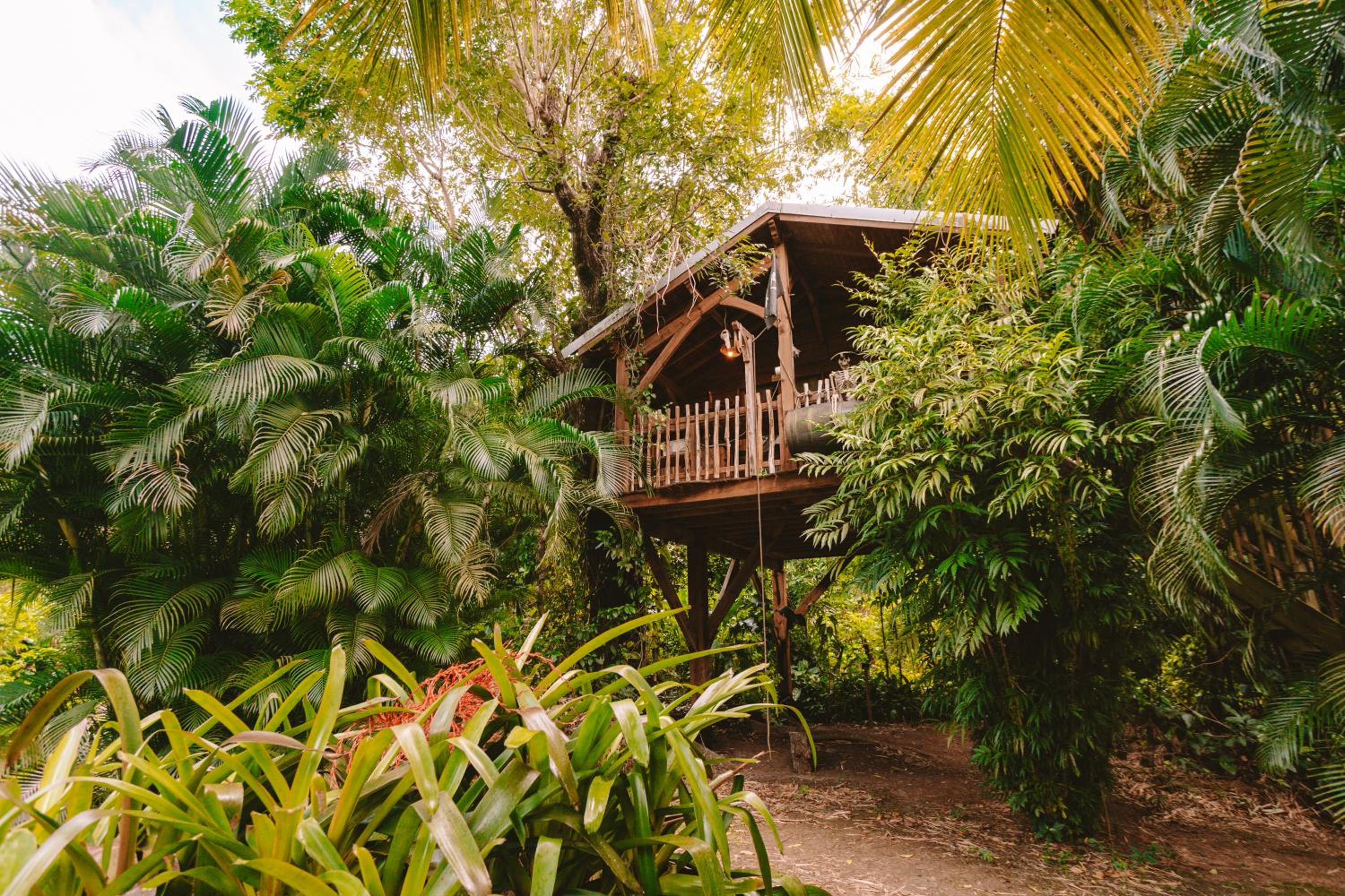 West Indies Cottage, cottages haut de gamme avec piscine, jacuzzi et vue jungle
