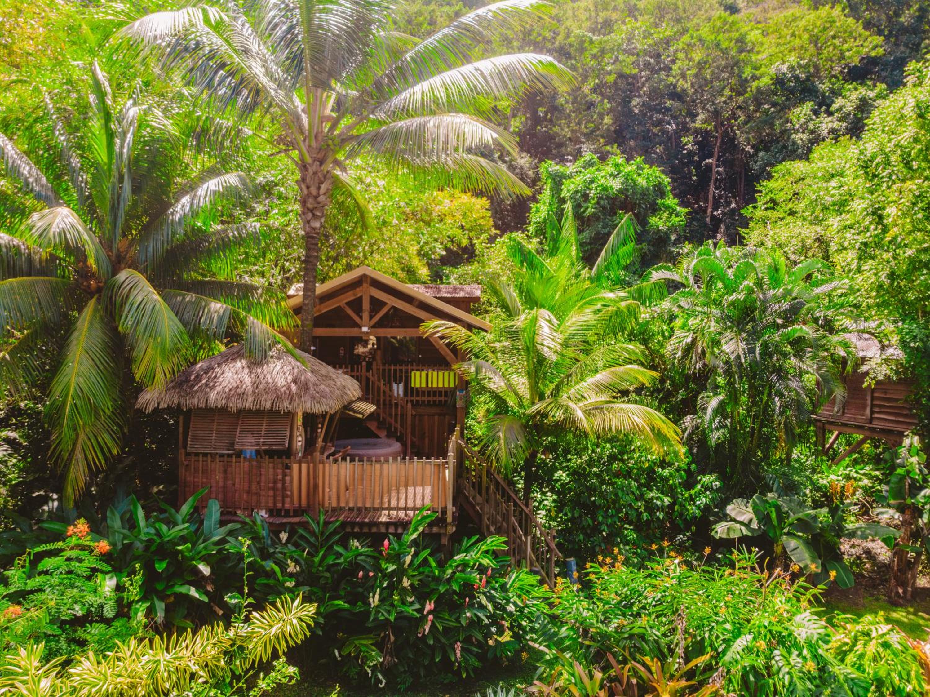 West Indies Cottage, cottages haut de gamme avec piscine, jacuzzi et vue jungle