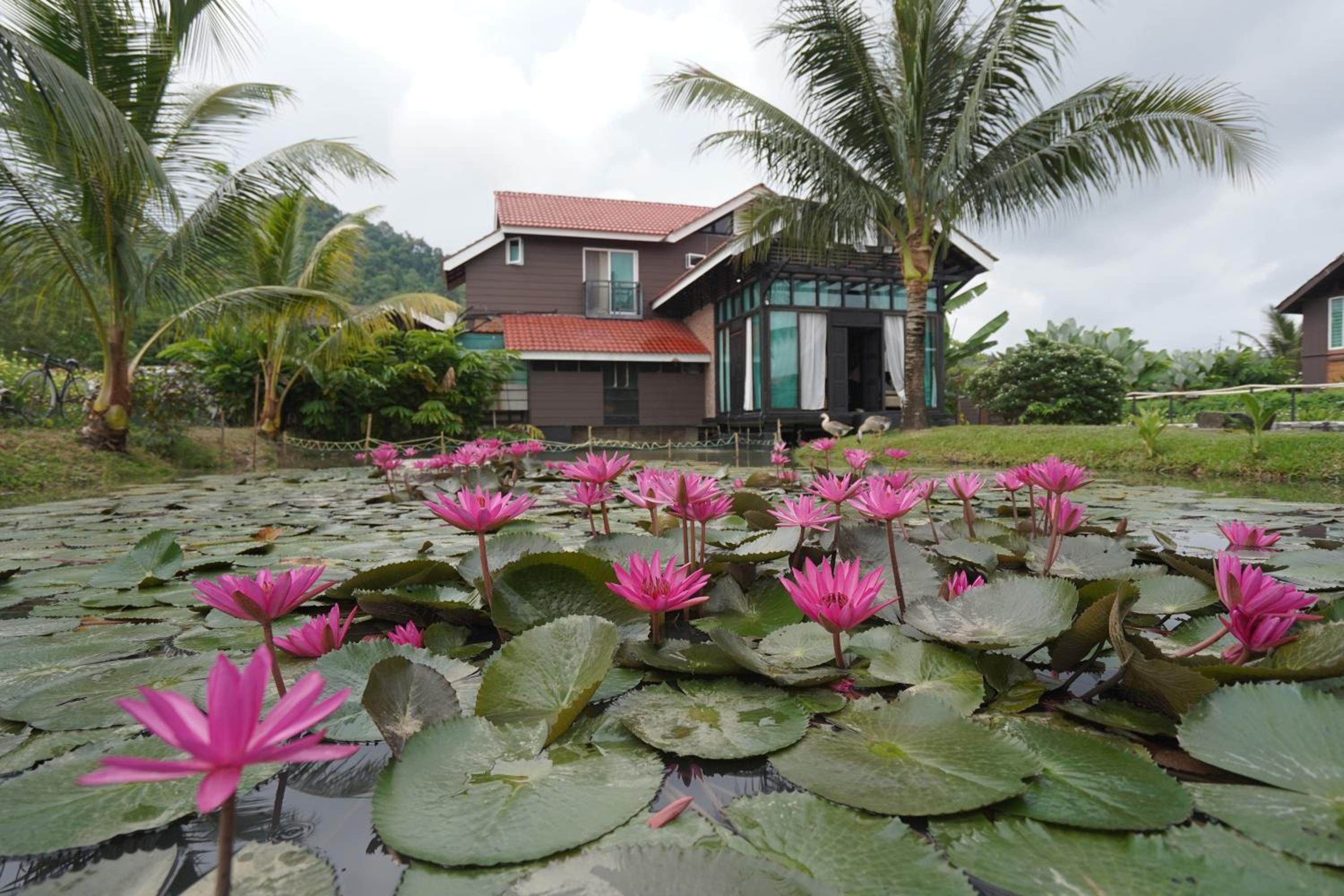 Villa Sawah Dahlia Langkawi - Private Pool photo 8