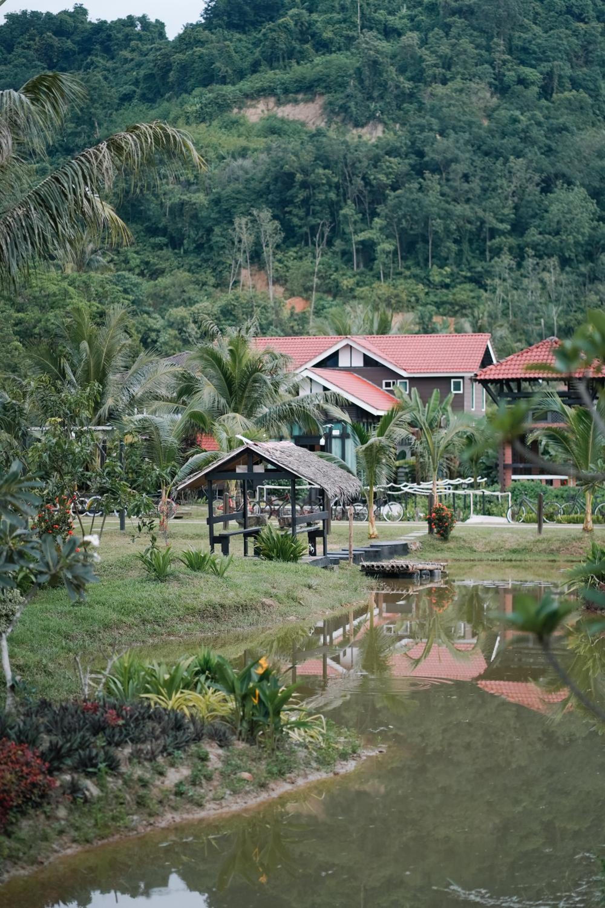 Villa Sawah Dahlia Langkawi - Private Pool