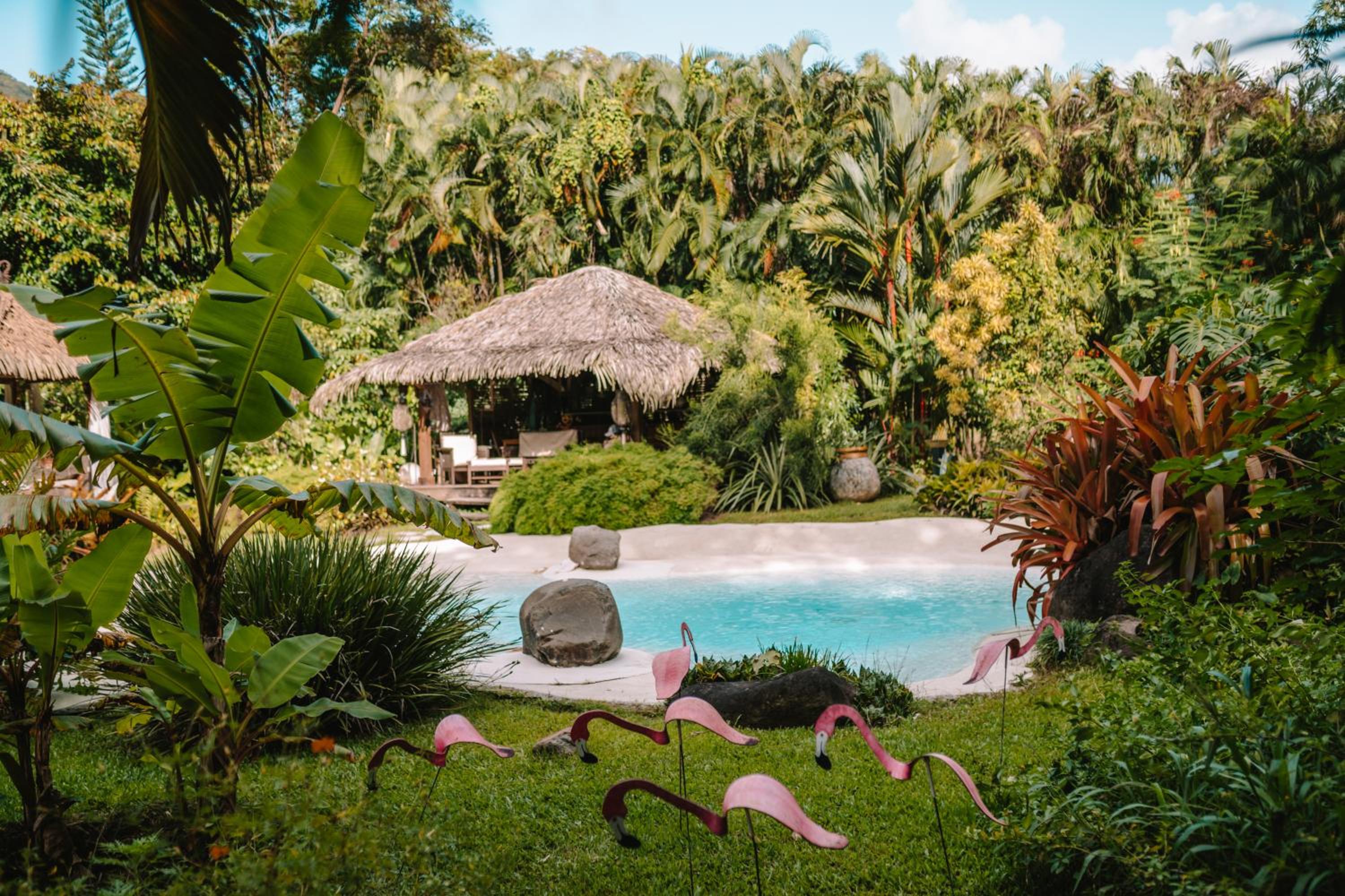 West Indies Cottage, cottages haut de gamme avec piscine, jacuzzi et vue jungle