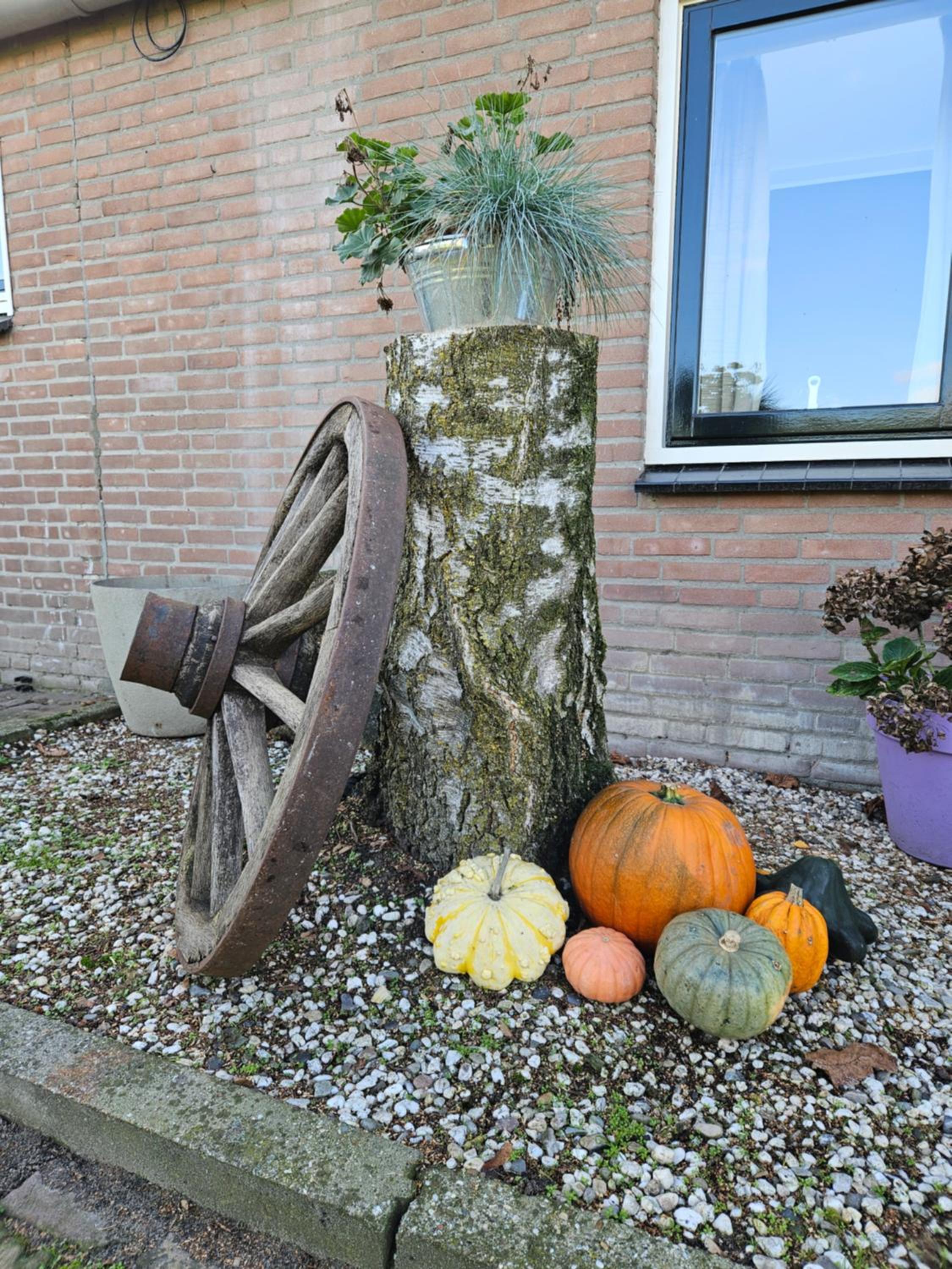 Bed & Breakfast Boekel