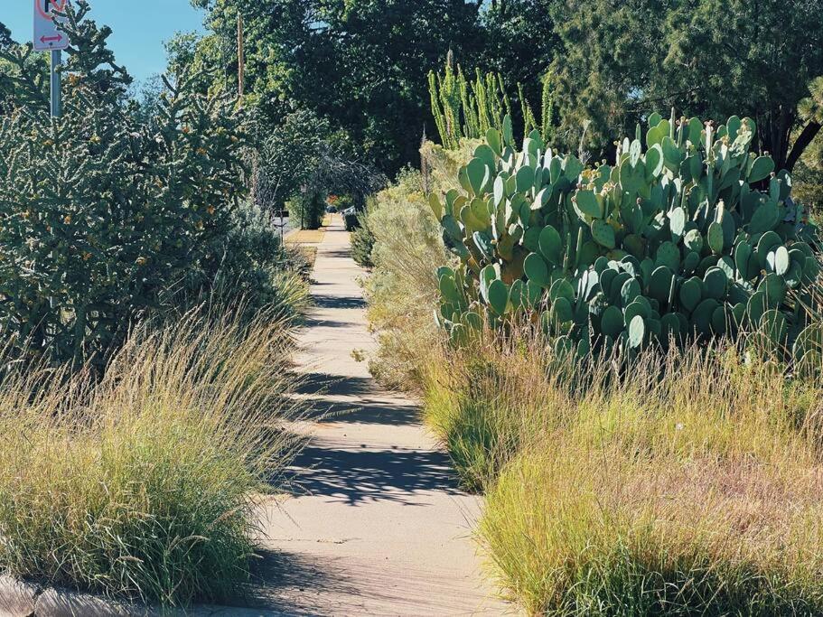 Photo 57