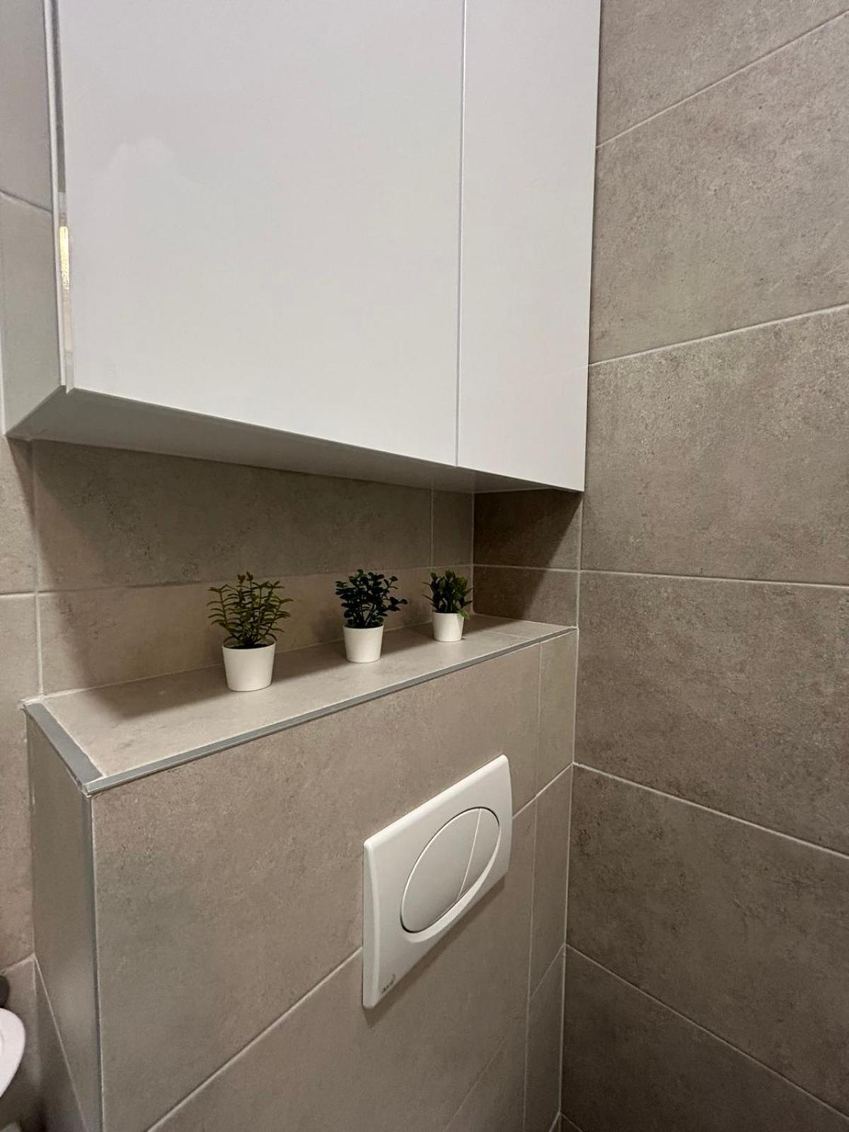 Apartment Saray