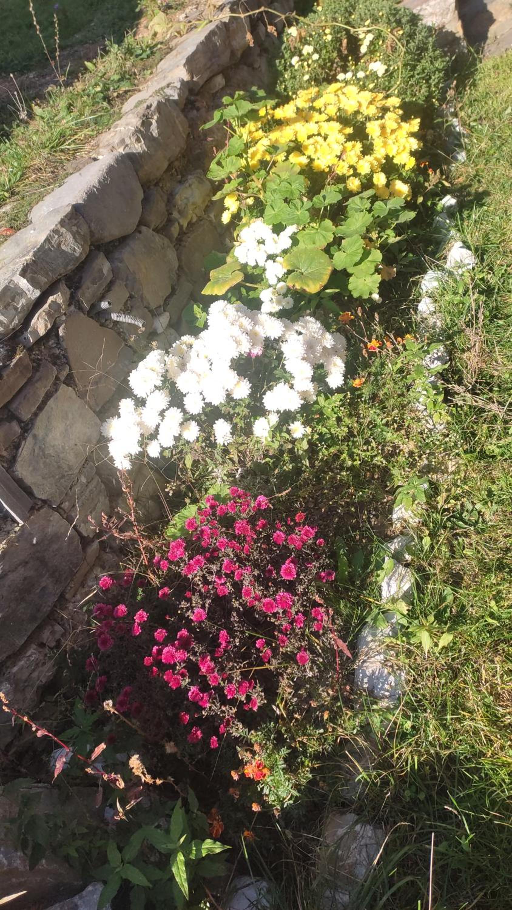 Guest House Astrit Villi