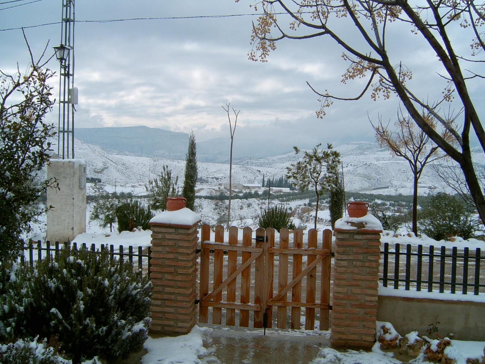 Photo 10