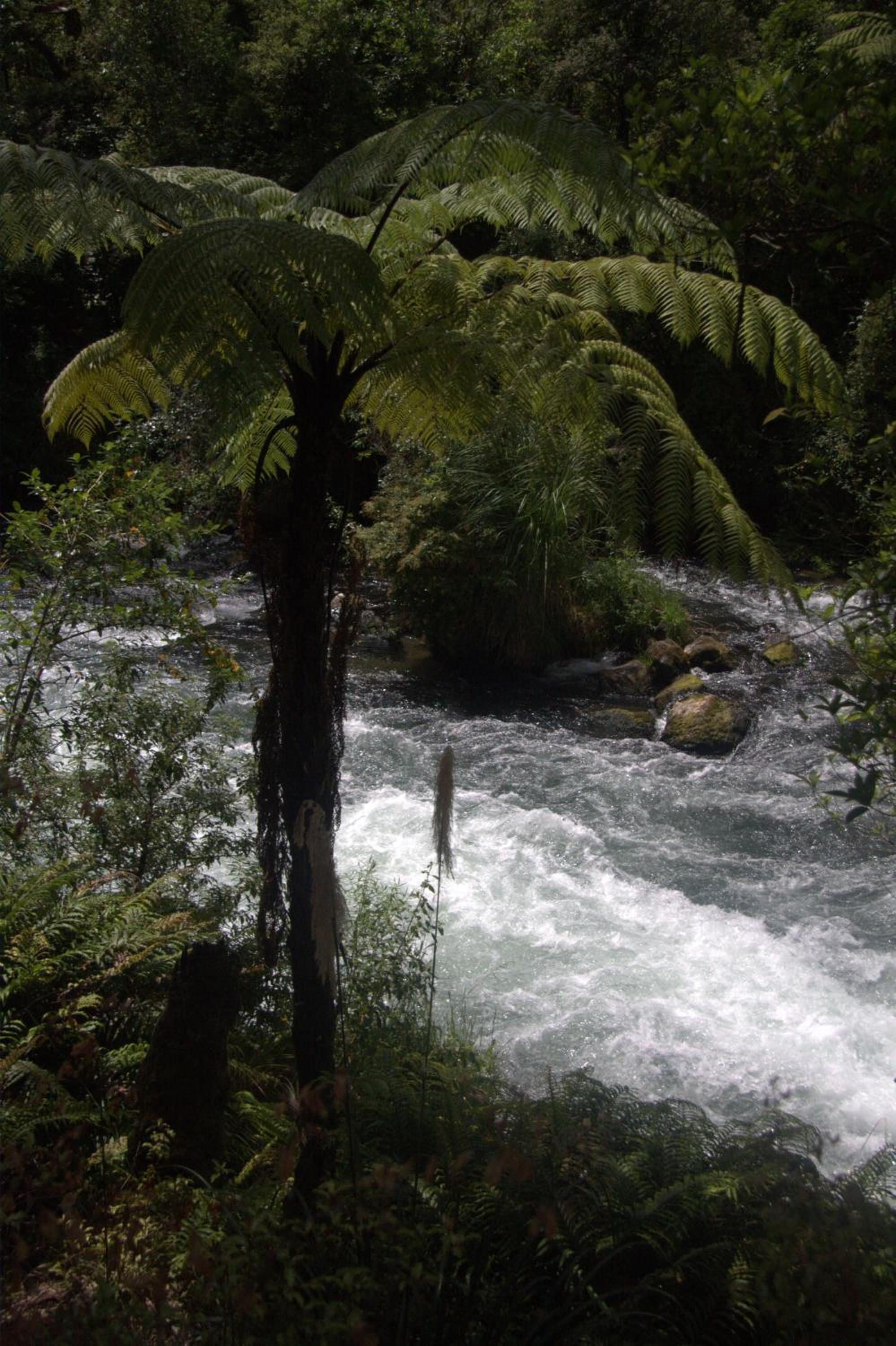 Photo 24