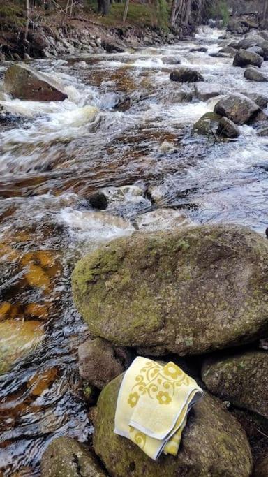 HARRADISE Plně vybavený apartmán pod Mumlavským vodopádem, na cestě na HŘEBENY, nejlepší VÝLETY v okolí, ZAHRADA pro relax i děti, LESY a turistické TRASY 