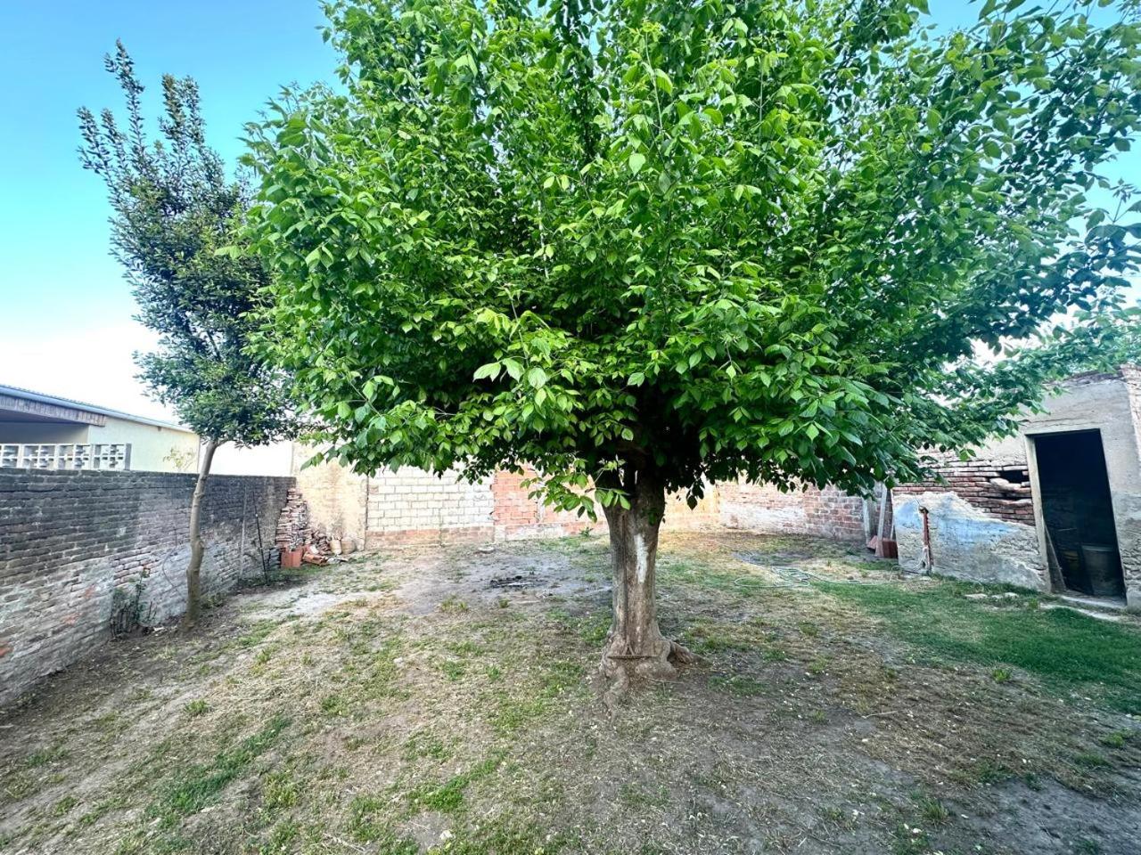 Casa céntrica en Chascomús con pileta