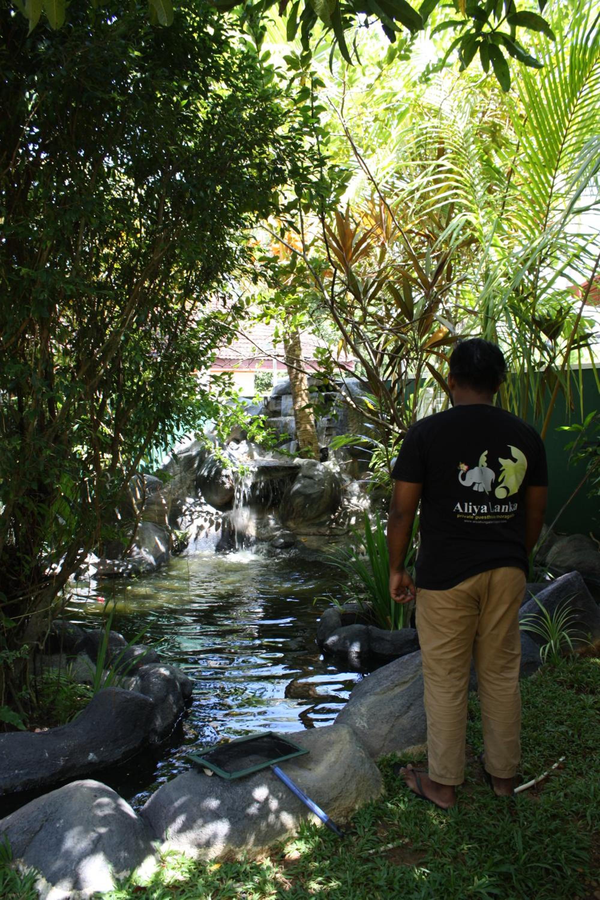 Photo 44