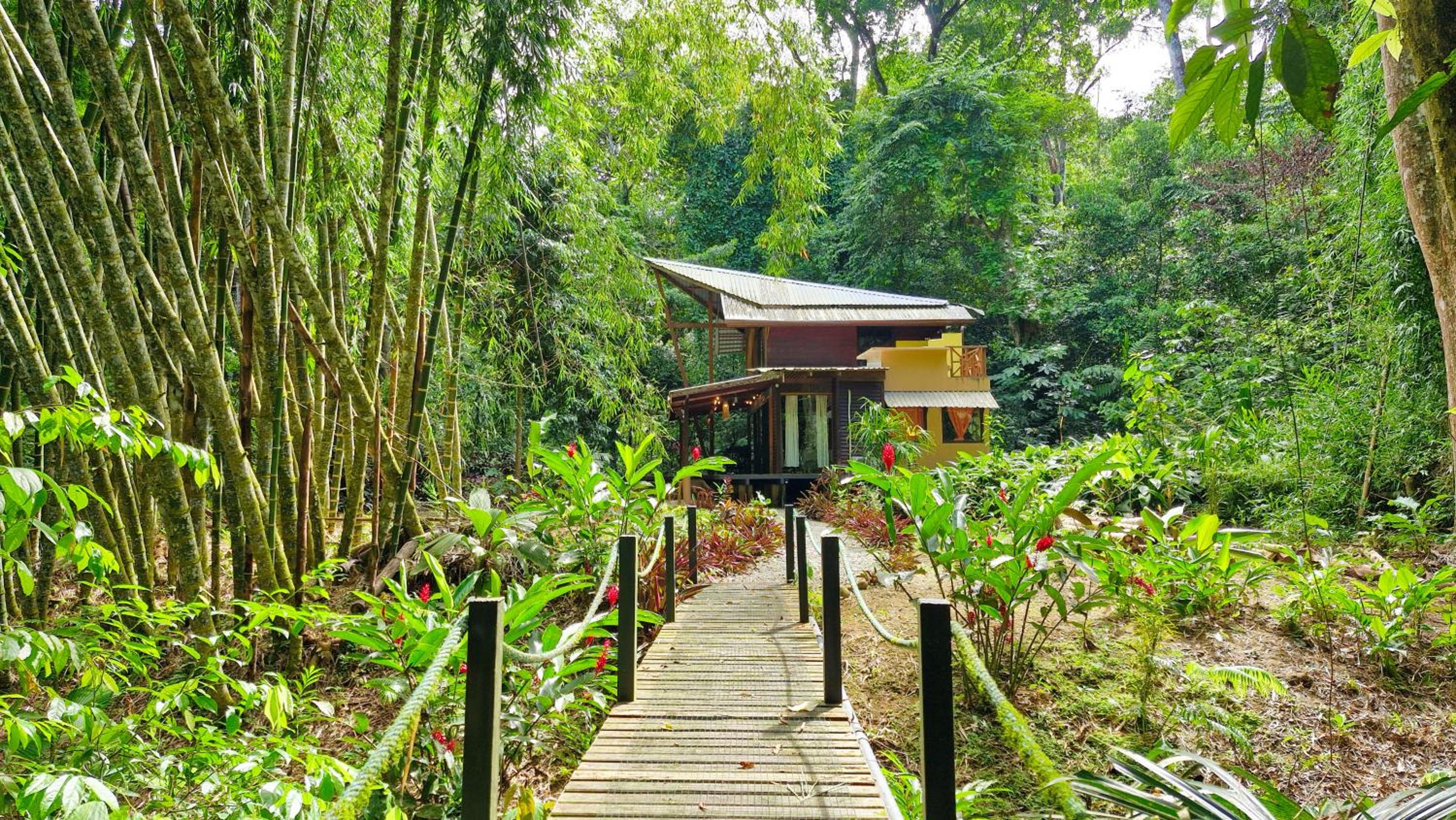 Casa Auratus Manzanillo wildlife