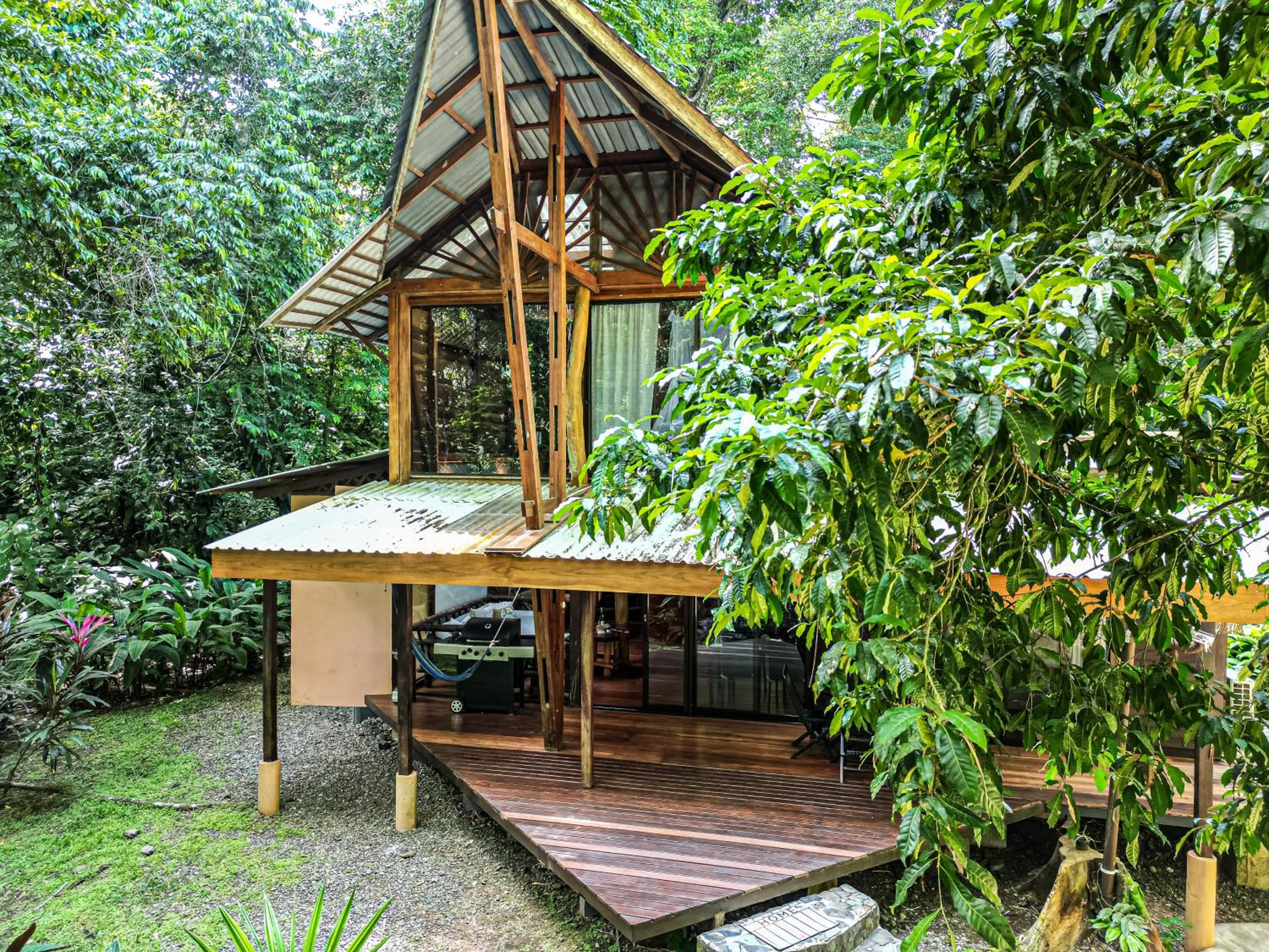 Casa Auratus Manzanillo wildlife