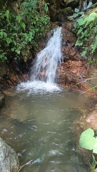 Finca el colibrí - Paz y tranquilidad