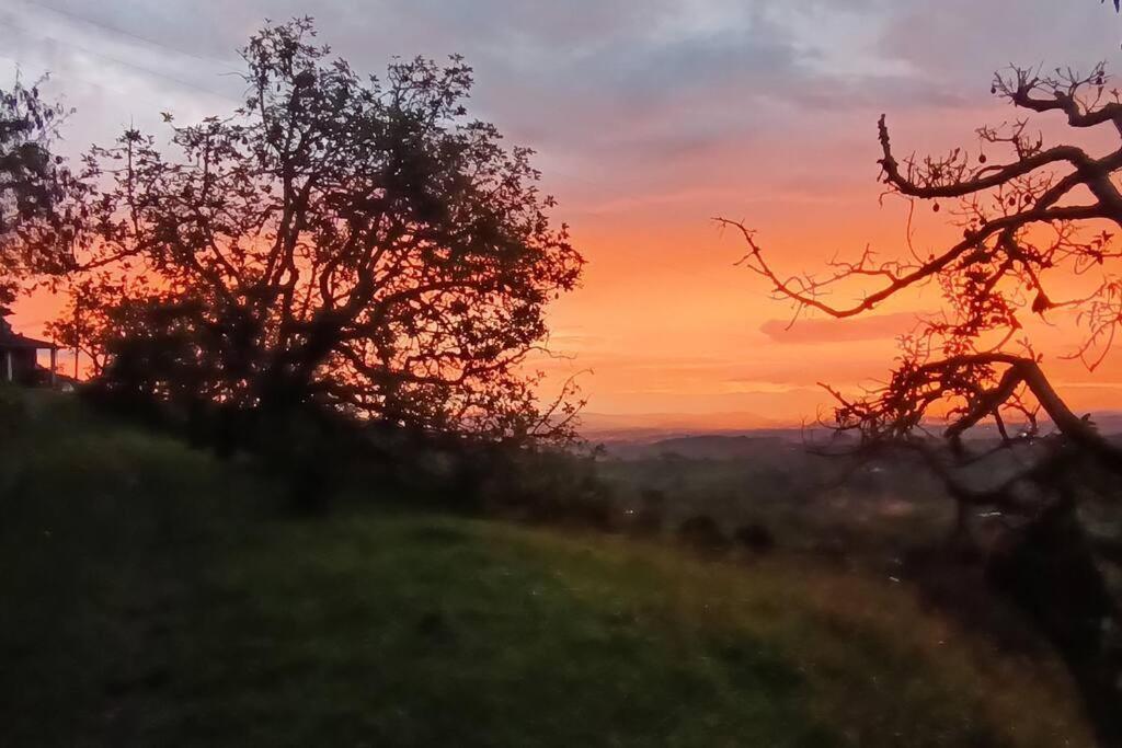 Finca el colibrí - Paz y tranquilidad