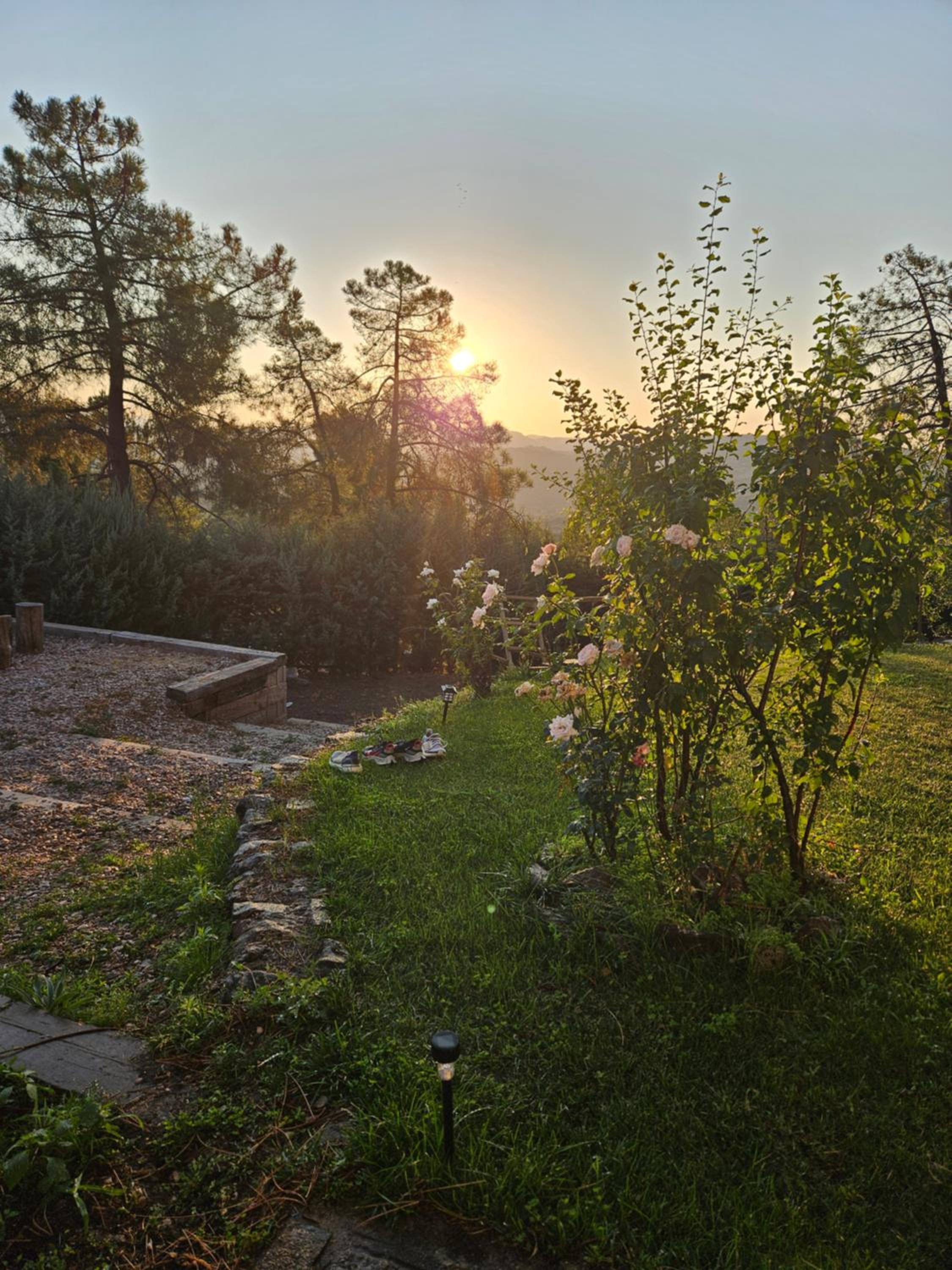 La Piñona