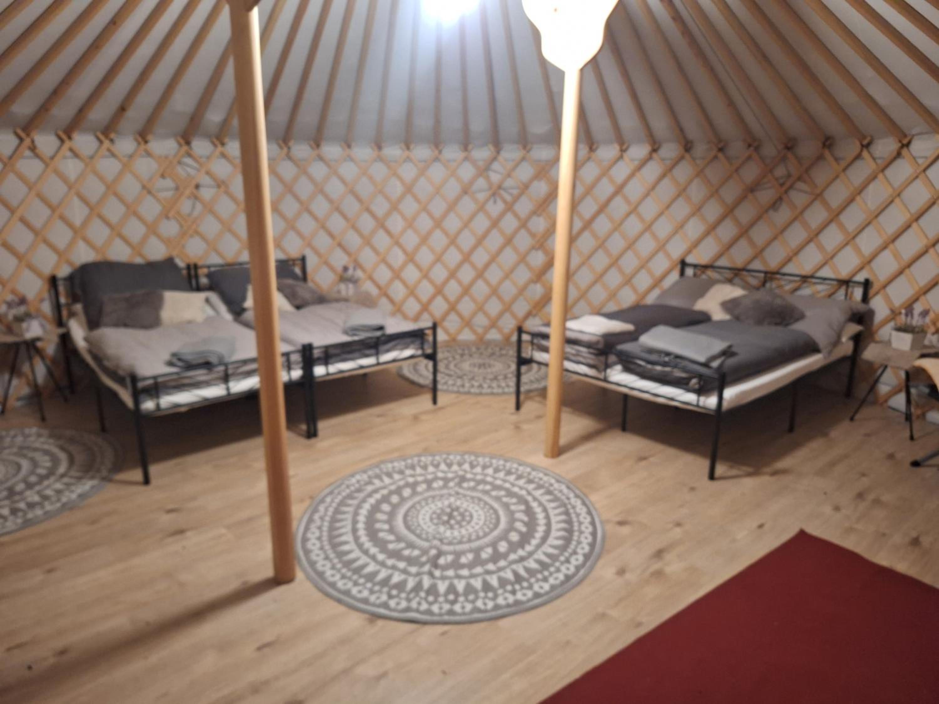Wildnis-Camp Schwarzwald